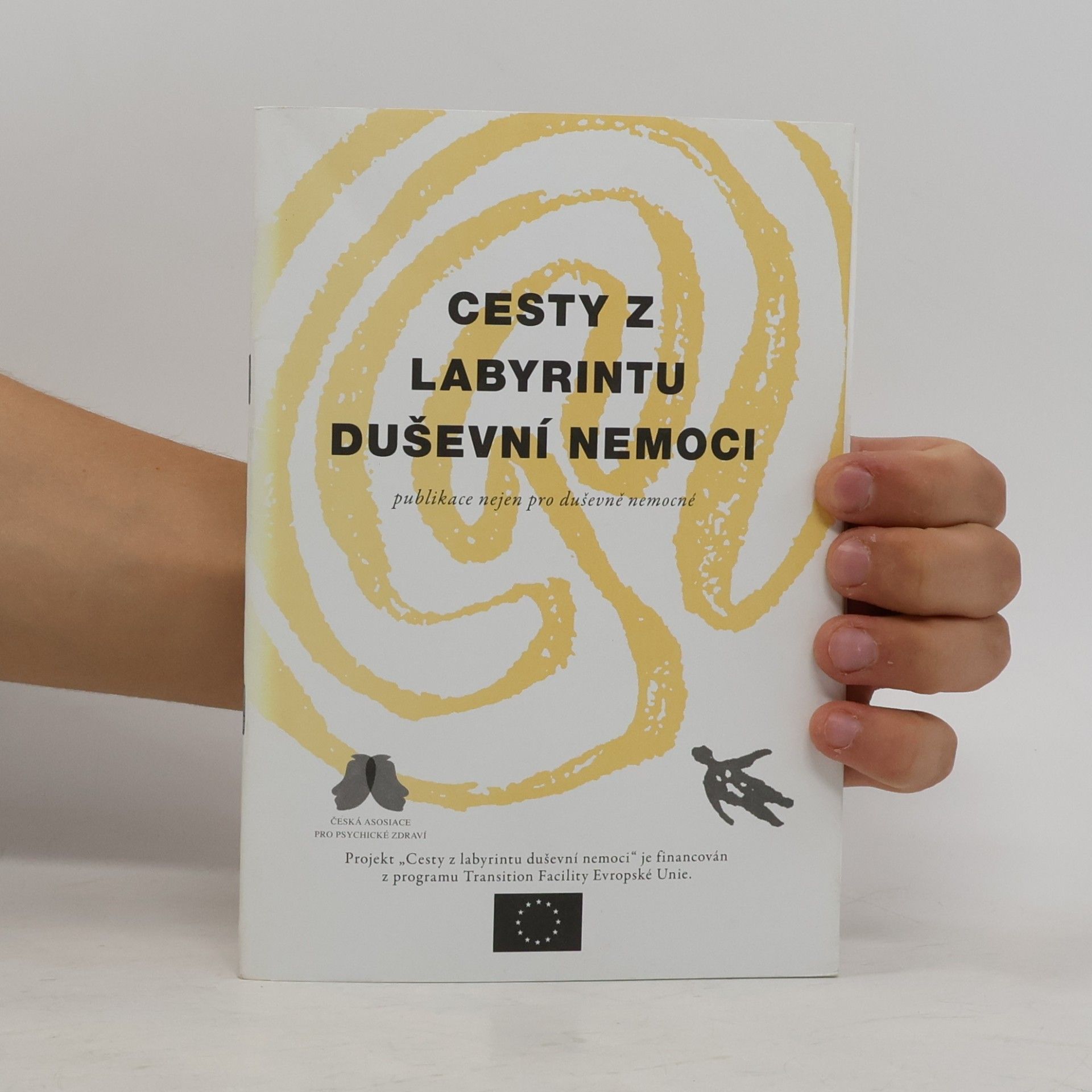 Kolektiv autorů Cesty z labyrintu duševní nemoci