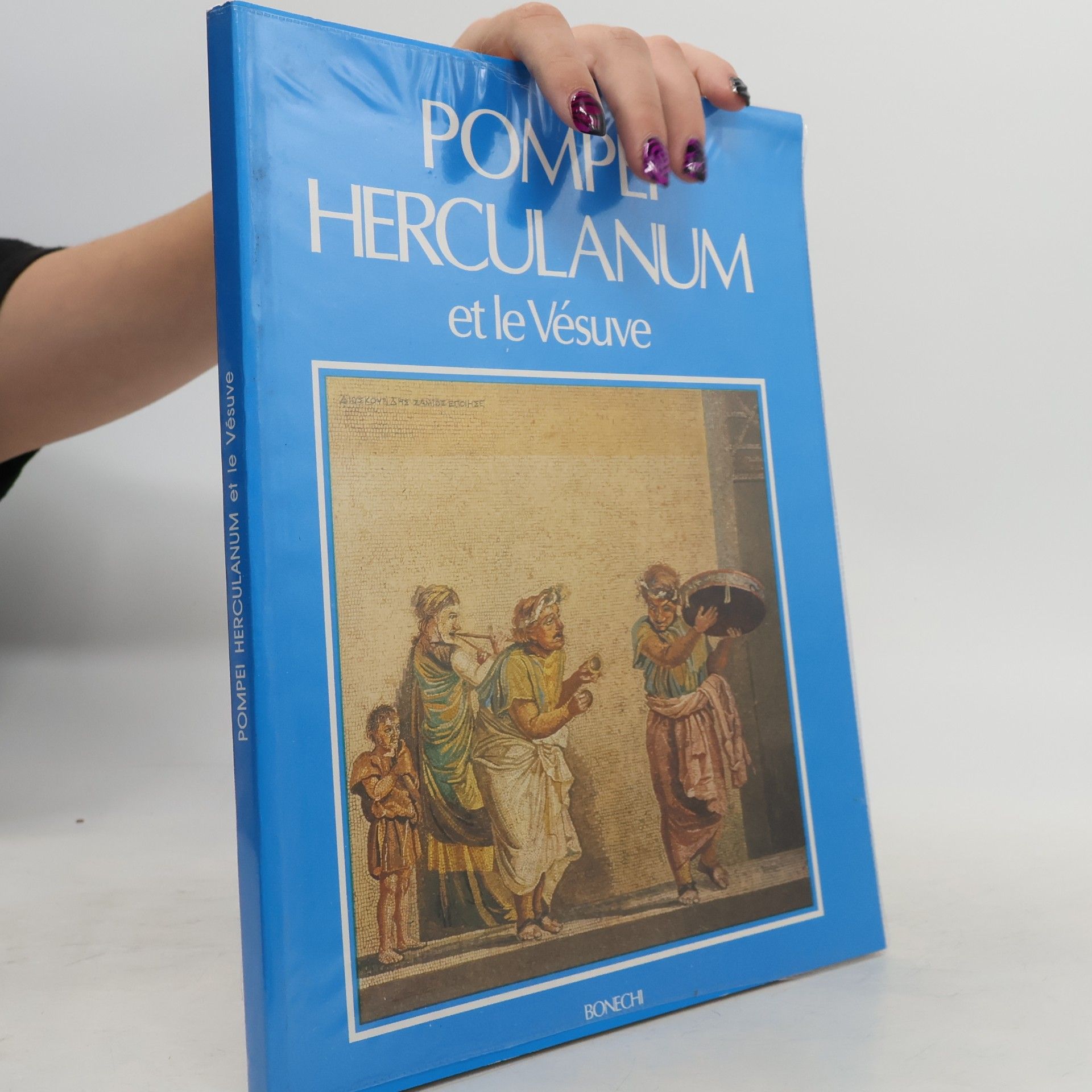 Autores varios Pompei Herculanum et le Vésuve