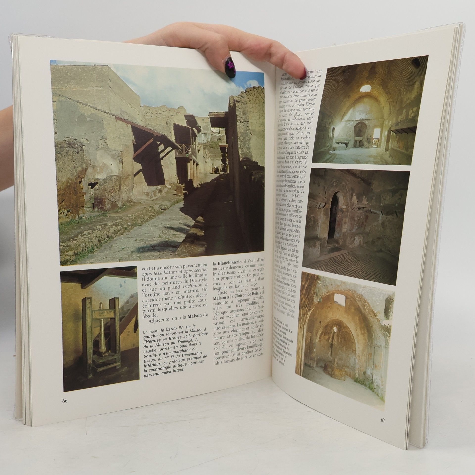 Autores varios Pompei Herculanum et le Vésuve