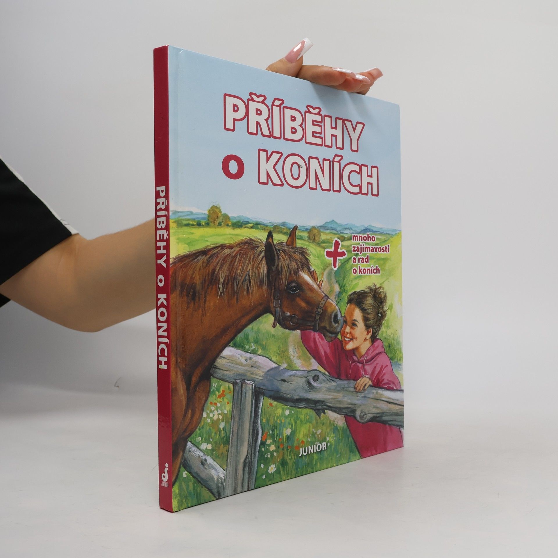 Kolektiv autorů Příběhy o koních