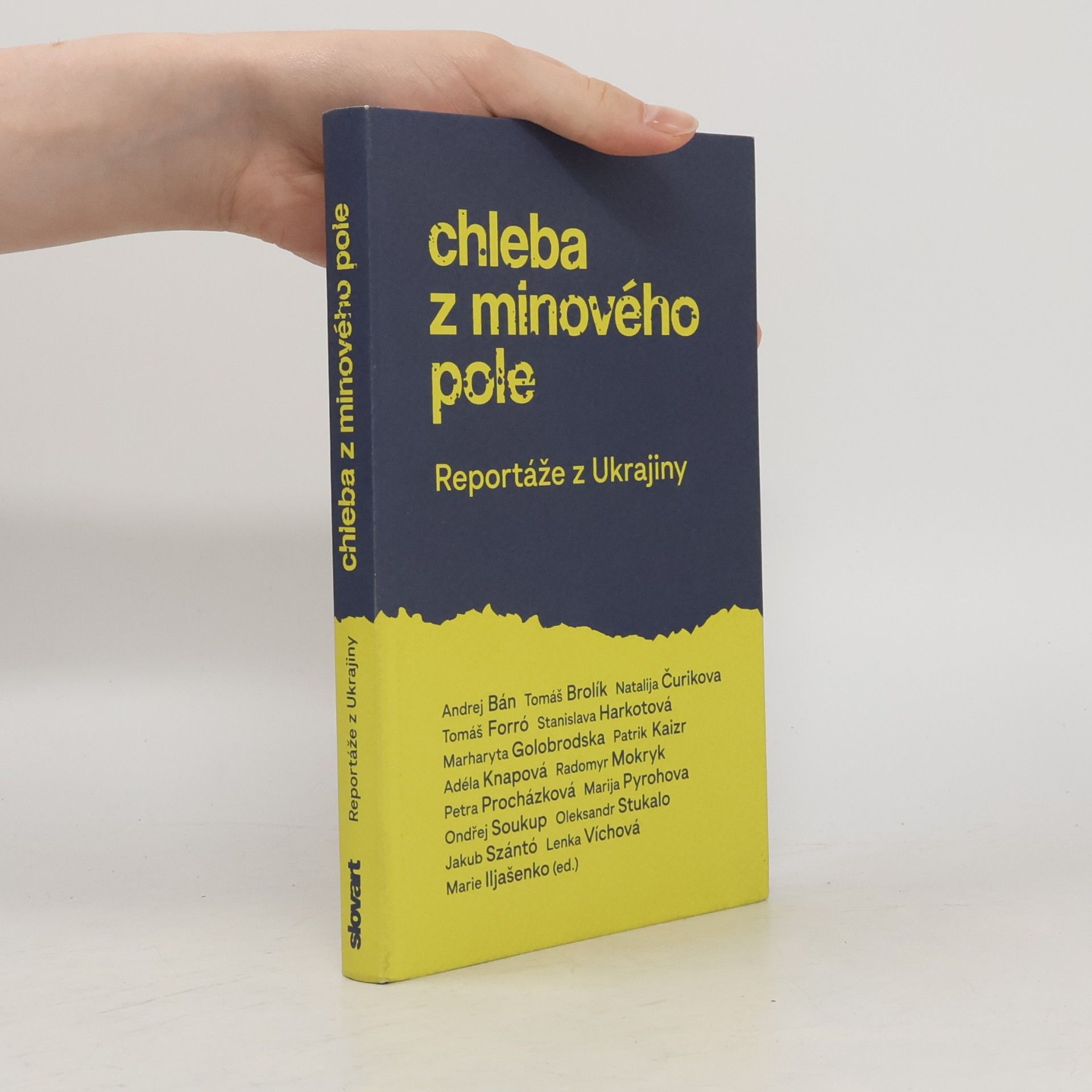 Kolektív autorov Chleba z minového pole : reportáže z Ukrajiny