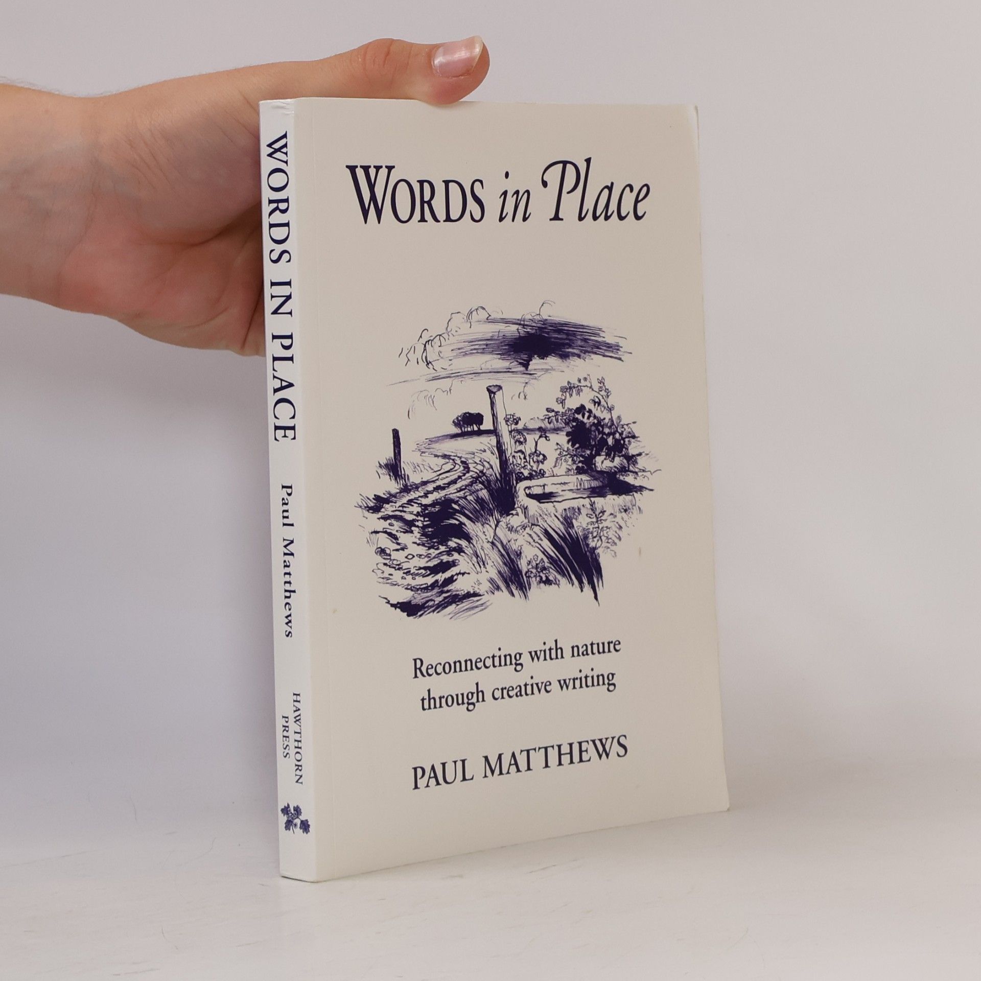 Paul Matthews Words in Place