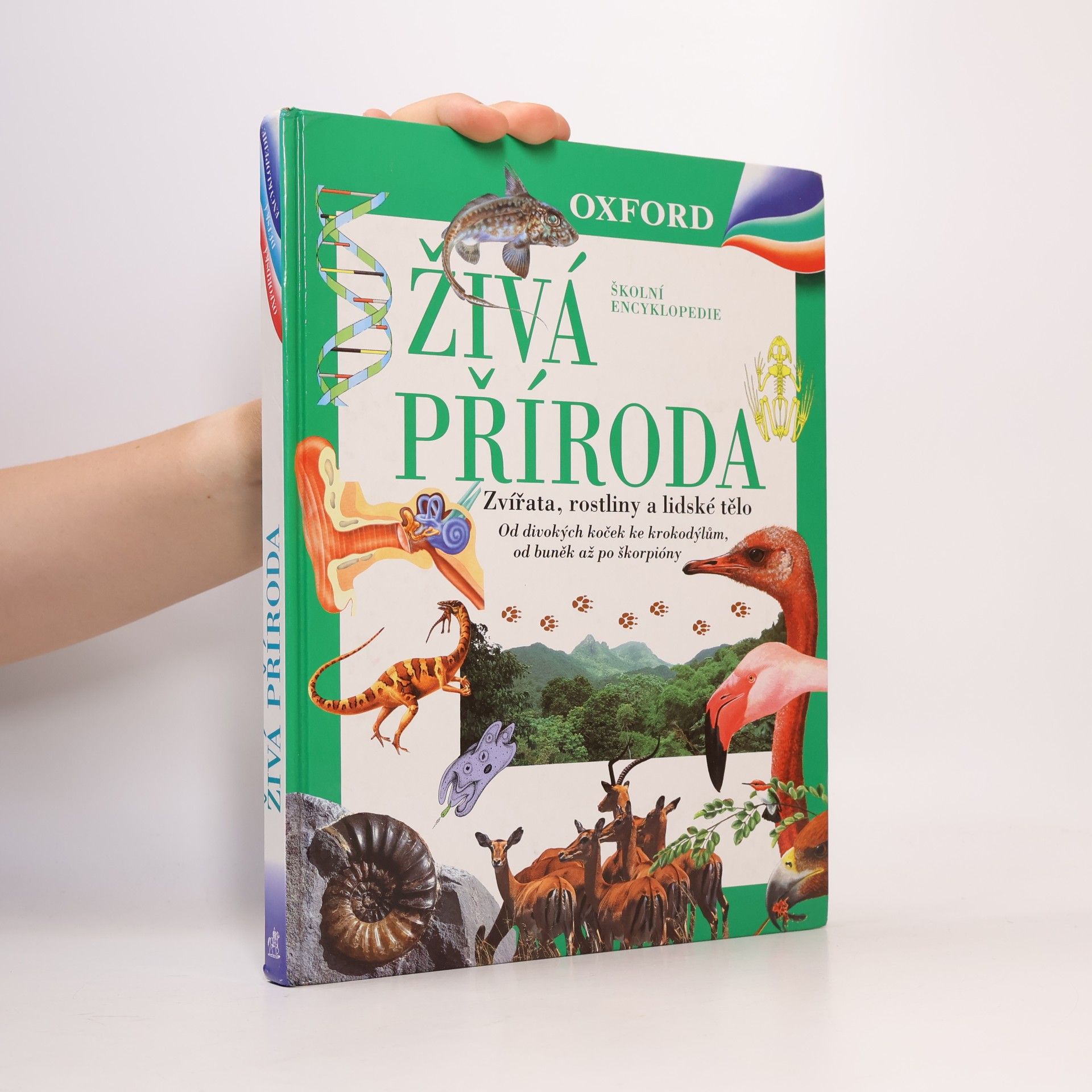 Markéta Hadačová Živá příroda