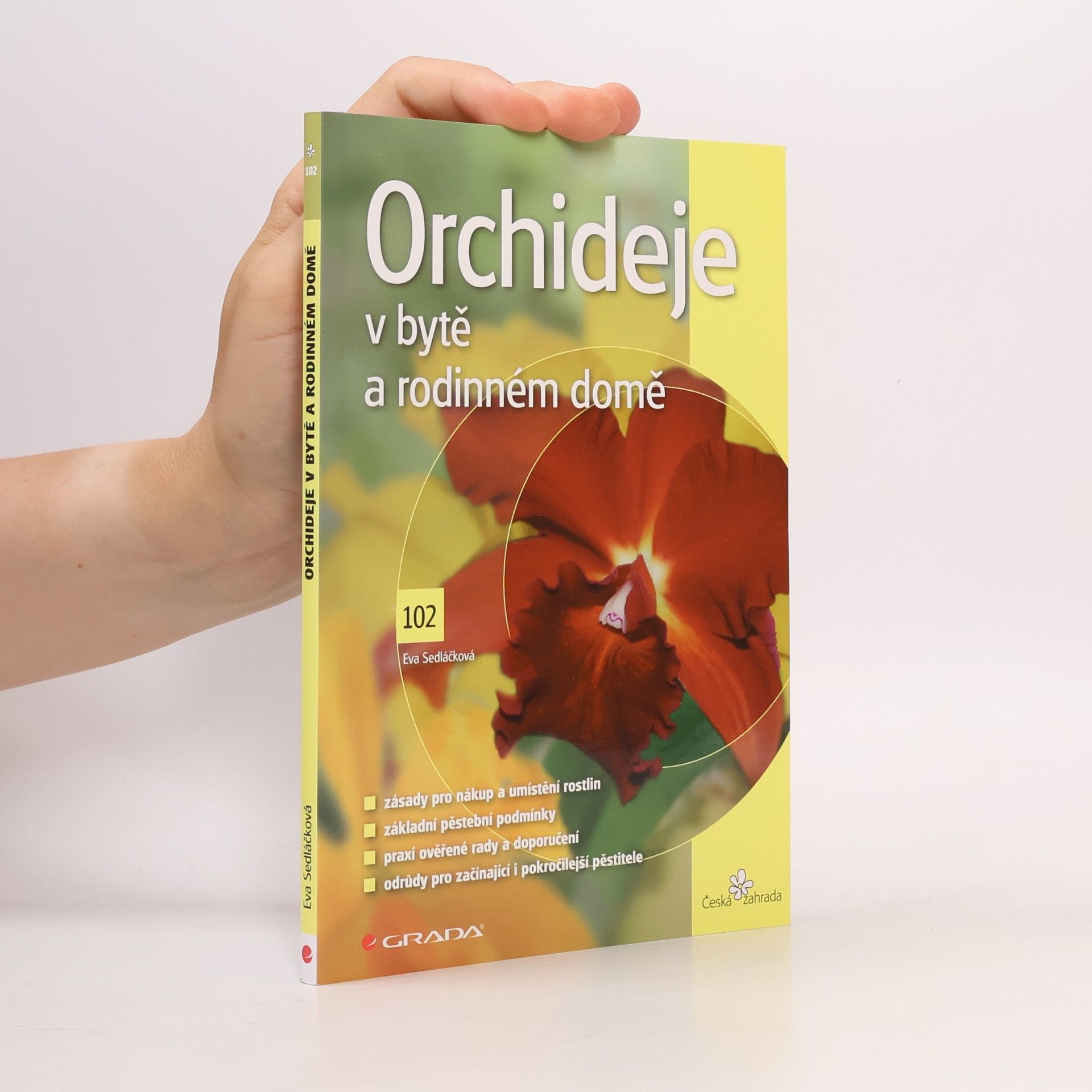 Eva Sedláčková Orchideje v bytě a rodinném domě