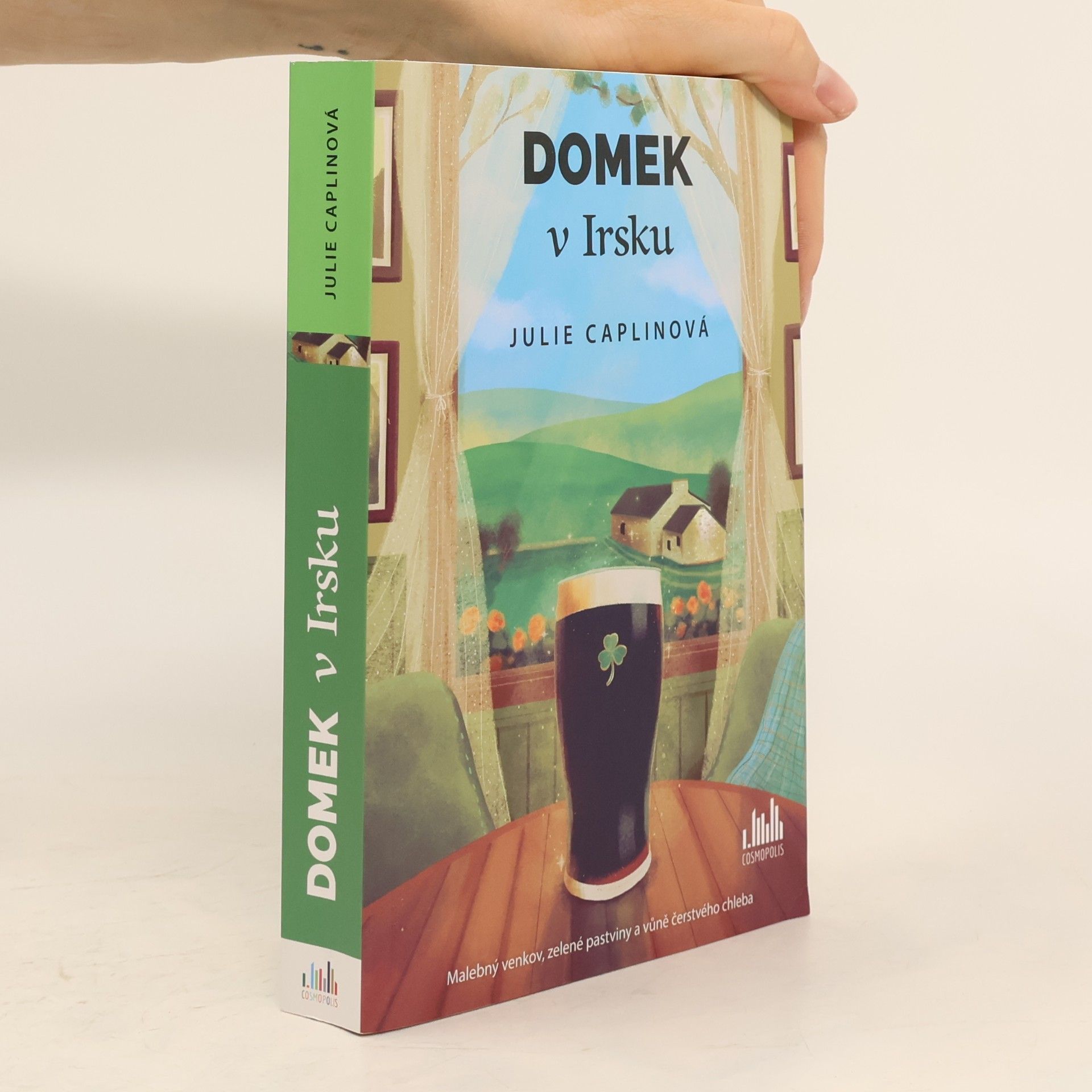 Julie Caplin Domek v Irsku