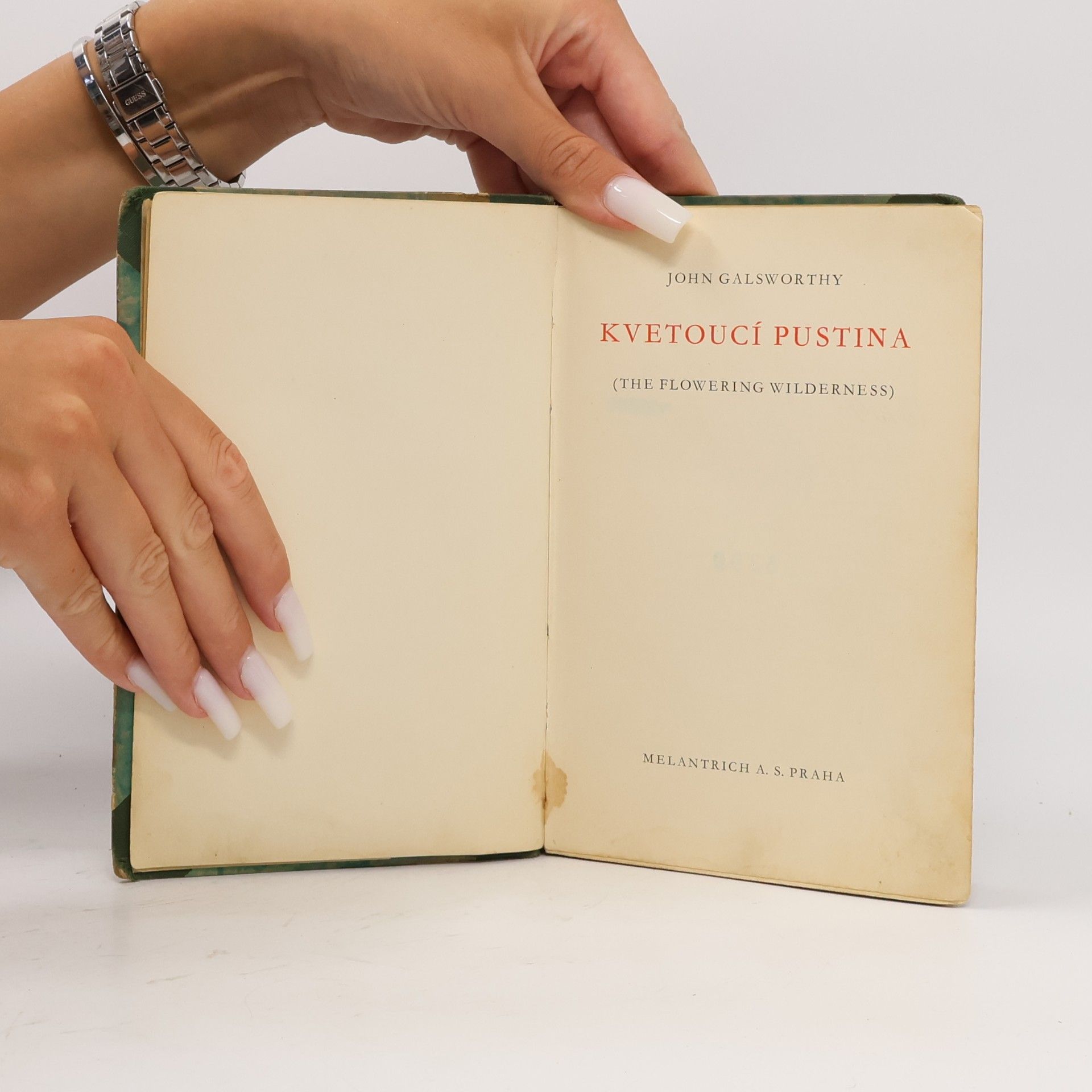 John Galsworthy Kvetoucí pustina