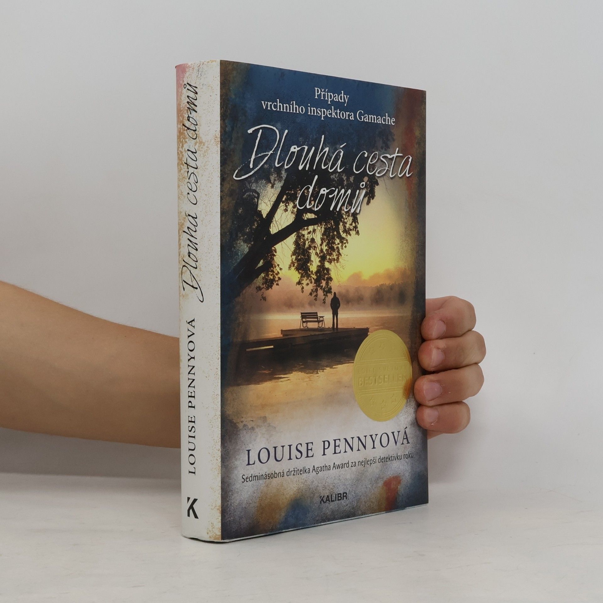 Louise Penny Dlouhá cesta domů