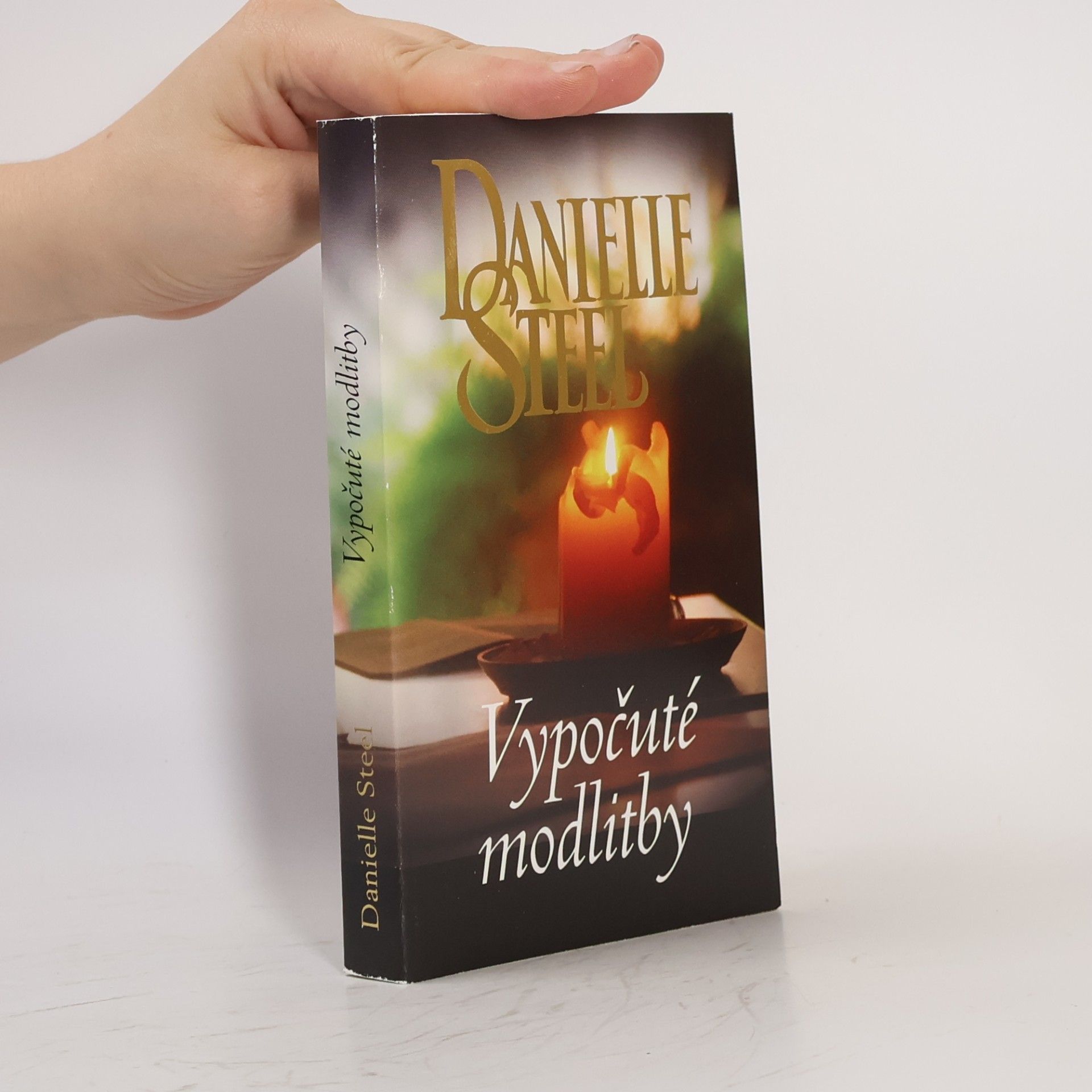 Danielle Steel Vypočuté modlitby