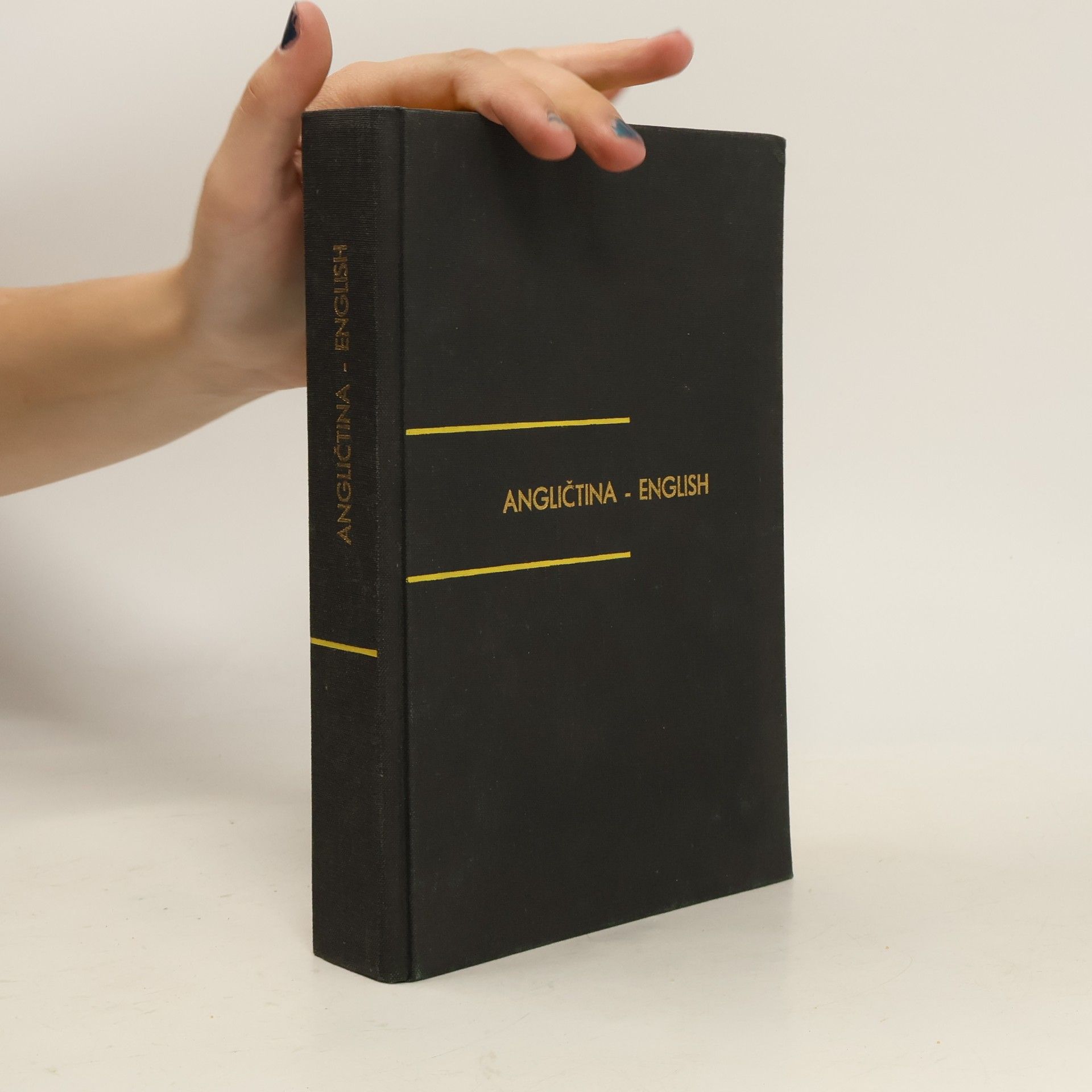 Autorenkollektiv Angličtina - English