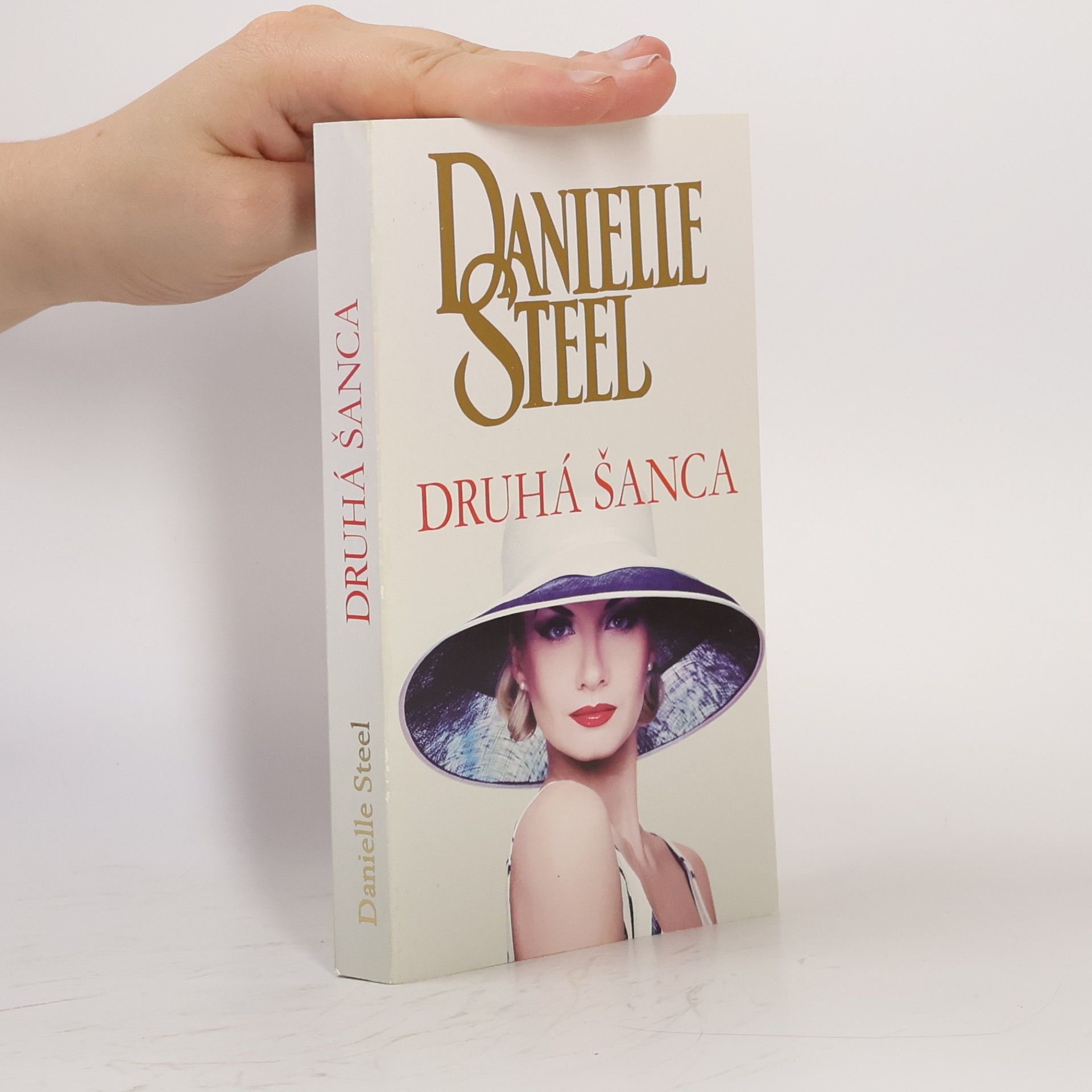 Danielle Steel Druhá šanca