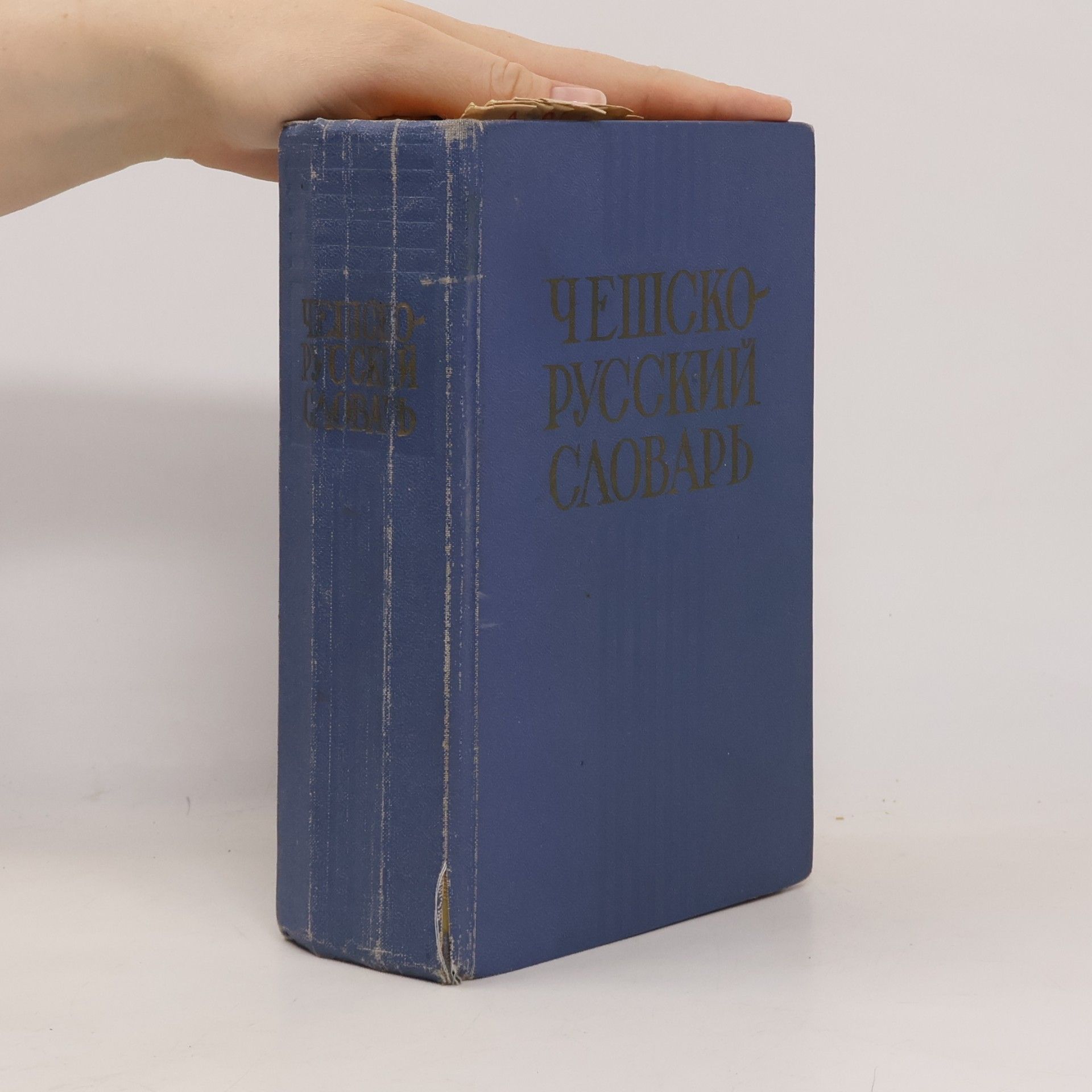 Andrej Ivanovič Pavlovič Чешско-русский словарь