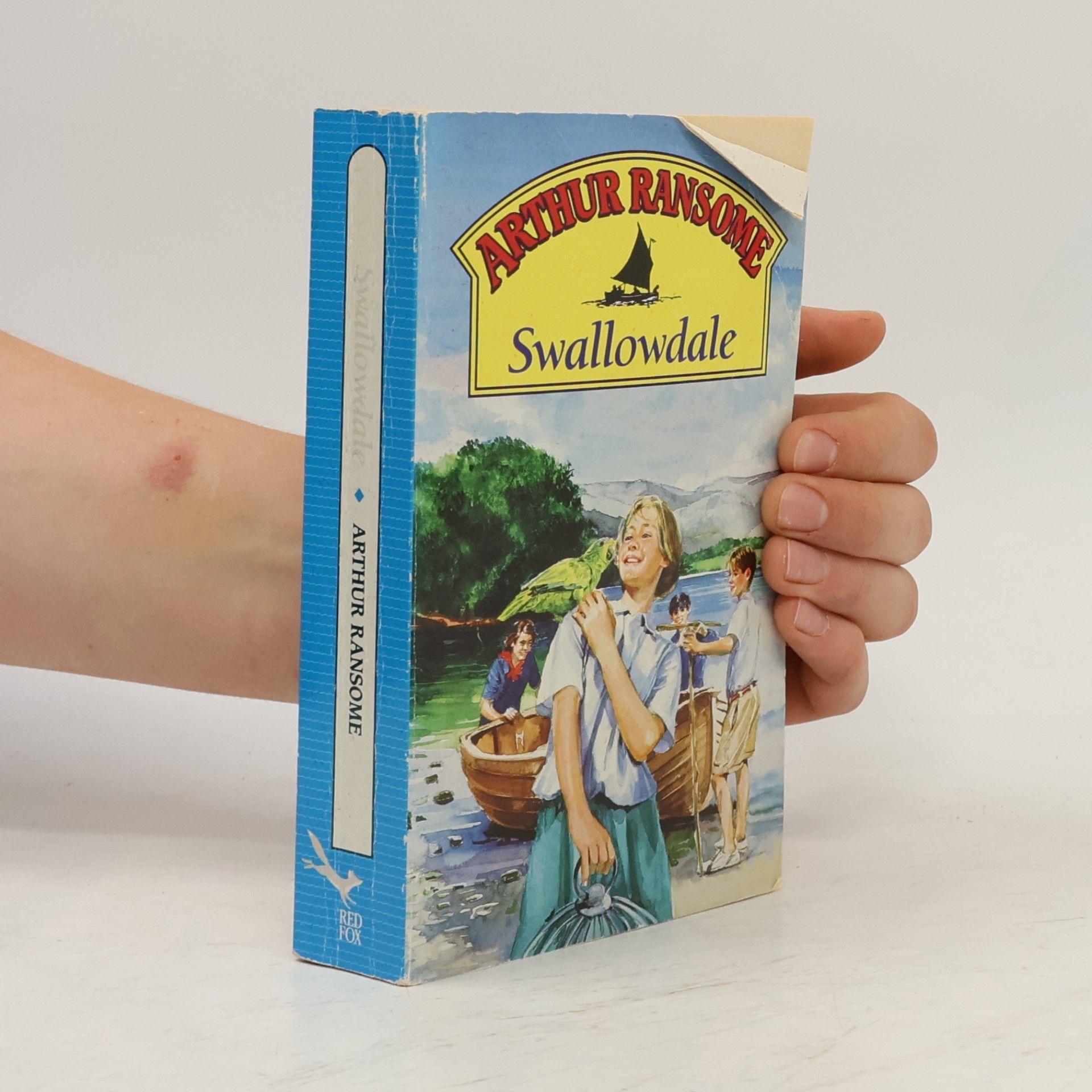 Swallows and Amazons - 2: Swallowdale