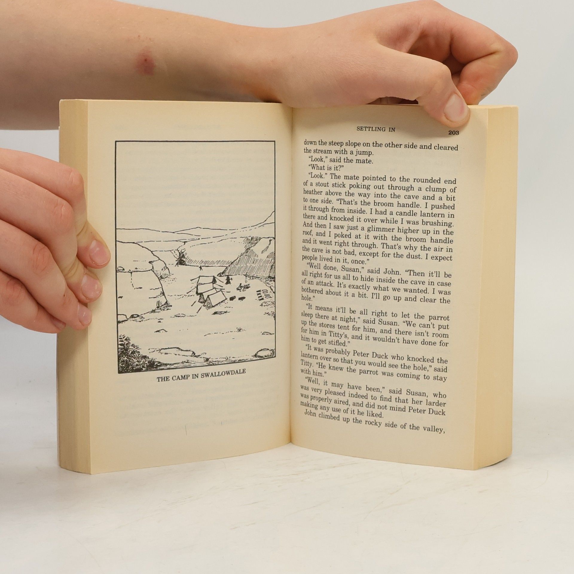 Arthur Ransome Swallows and Amazons - 2: Swallowdale