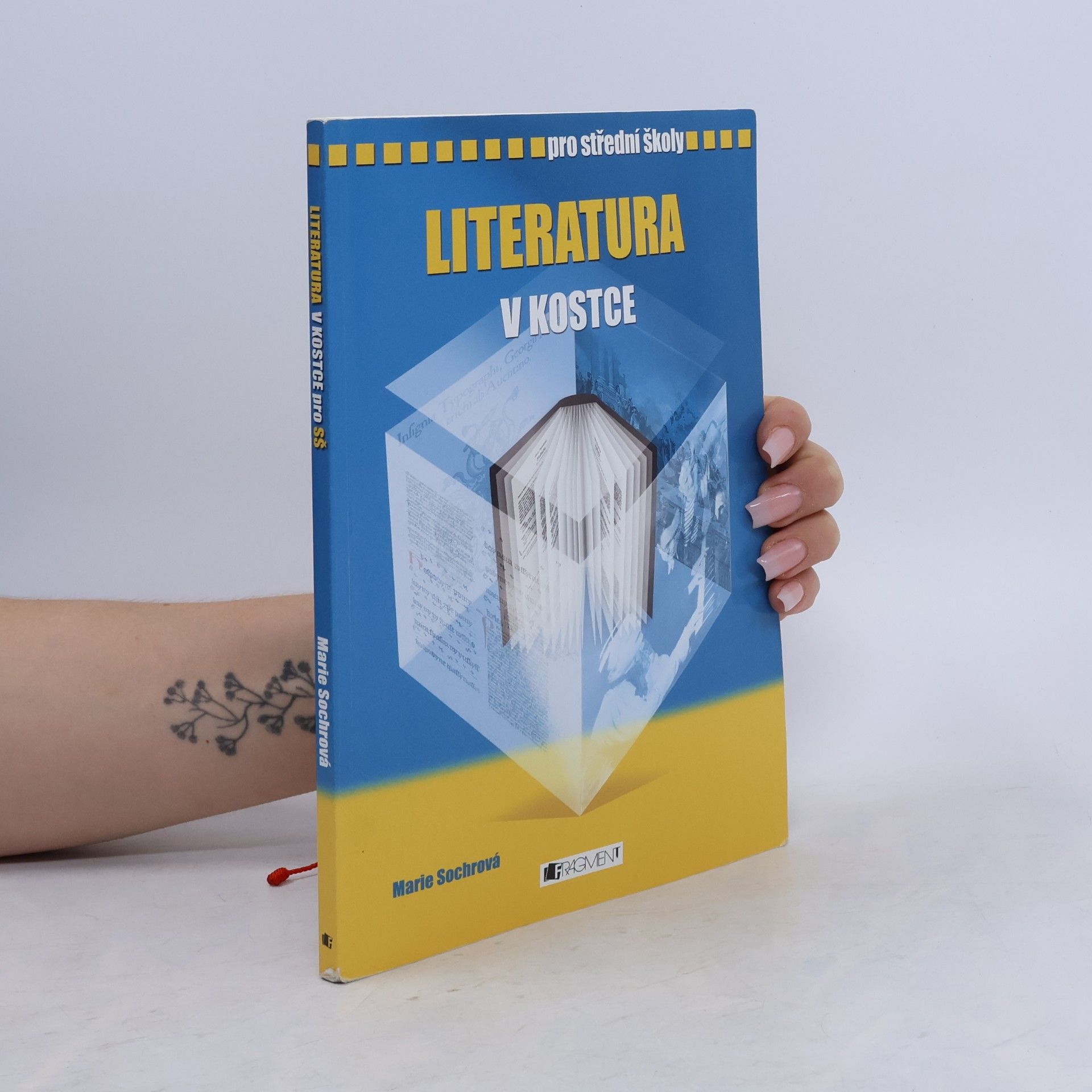 Marie Sochrová Literatura v kostce : pro střední školy