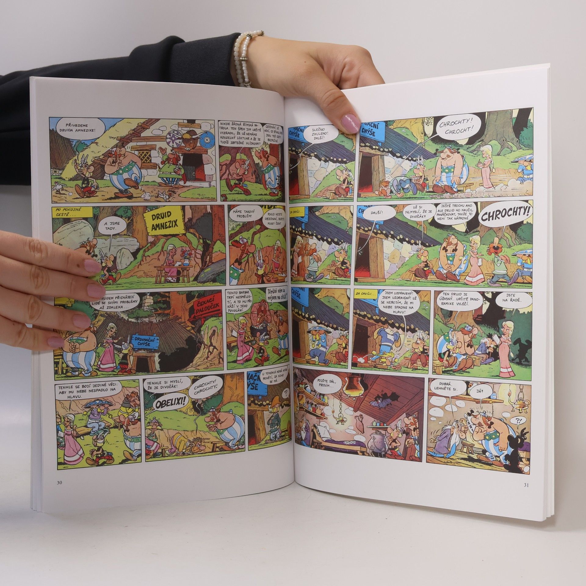 René Goscinny Asterix. Díl XIX. Souboj náčelníků