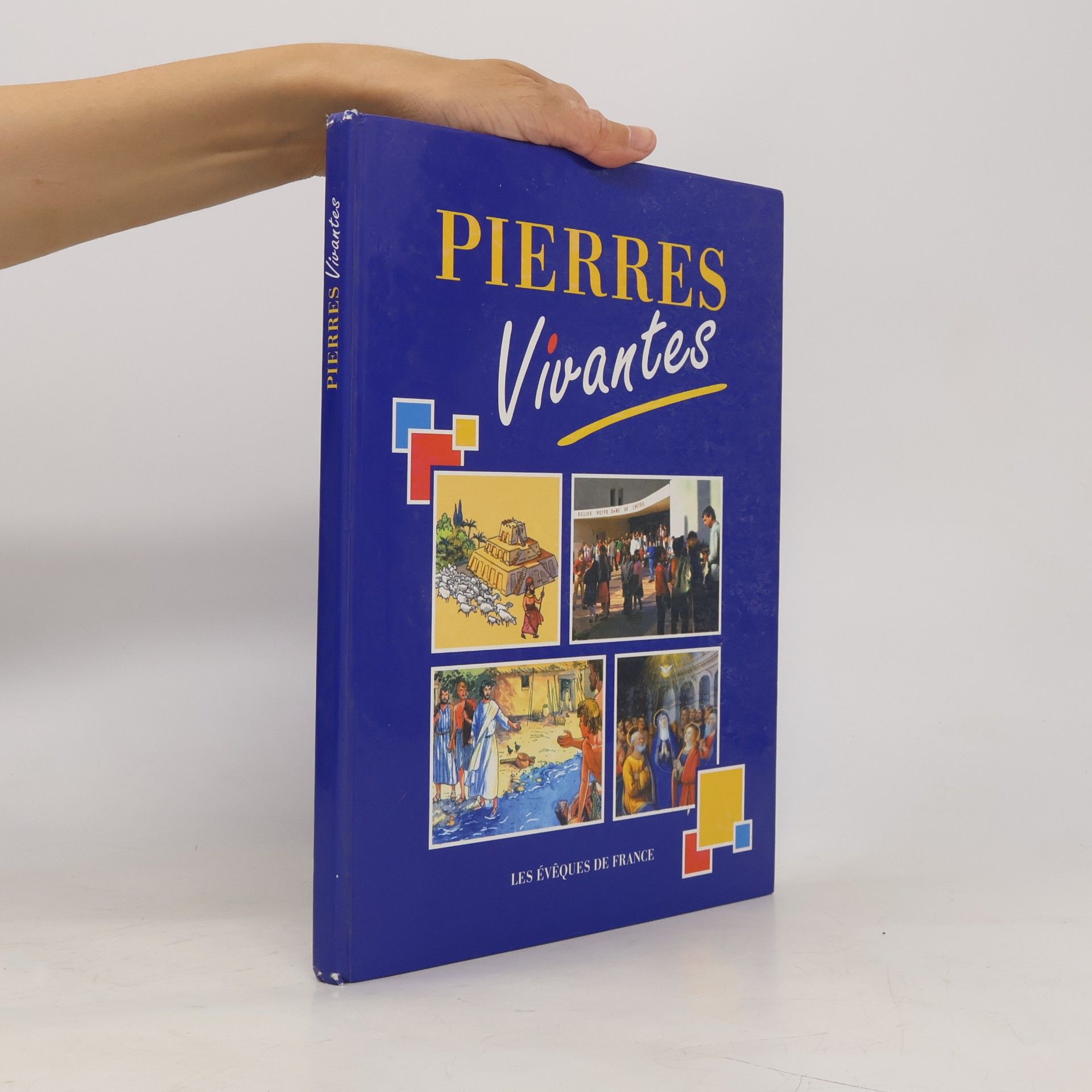 Les Évêques de France Pierres vivantes