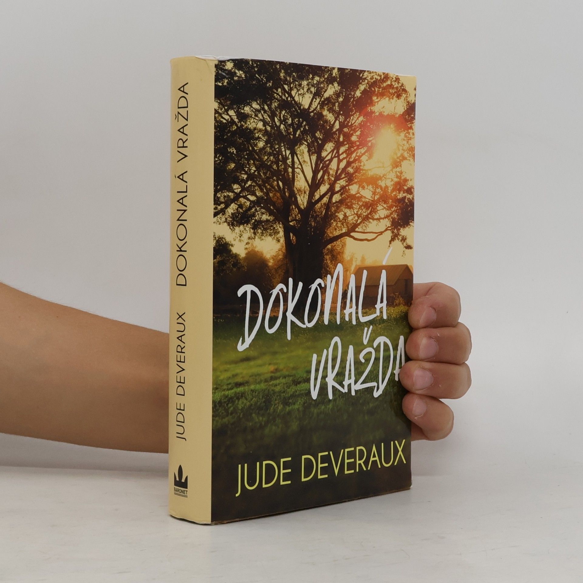 Jude Deveraux Dokonalá vražda