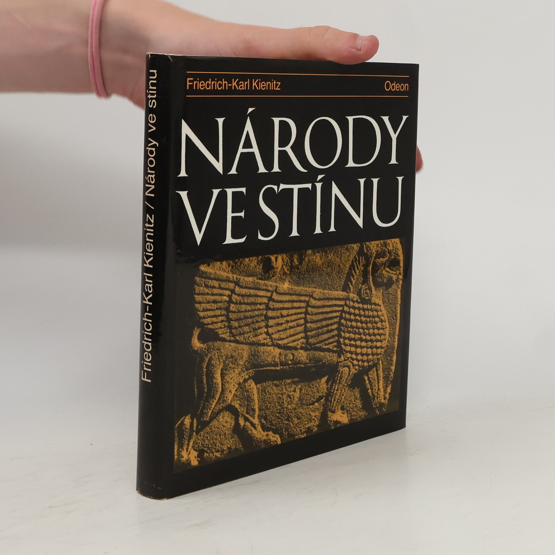 Friedrich Karl Kienitz Národy ve stínu