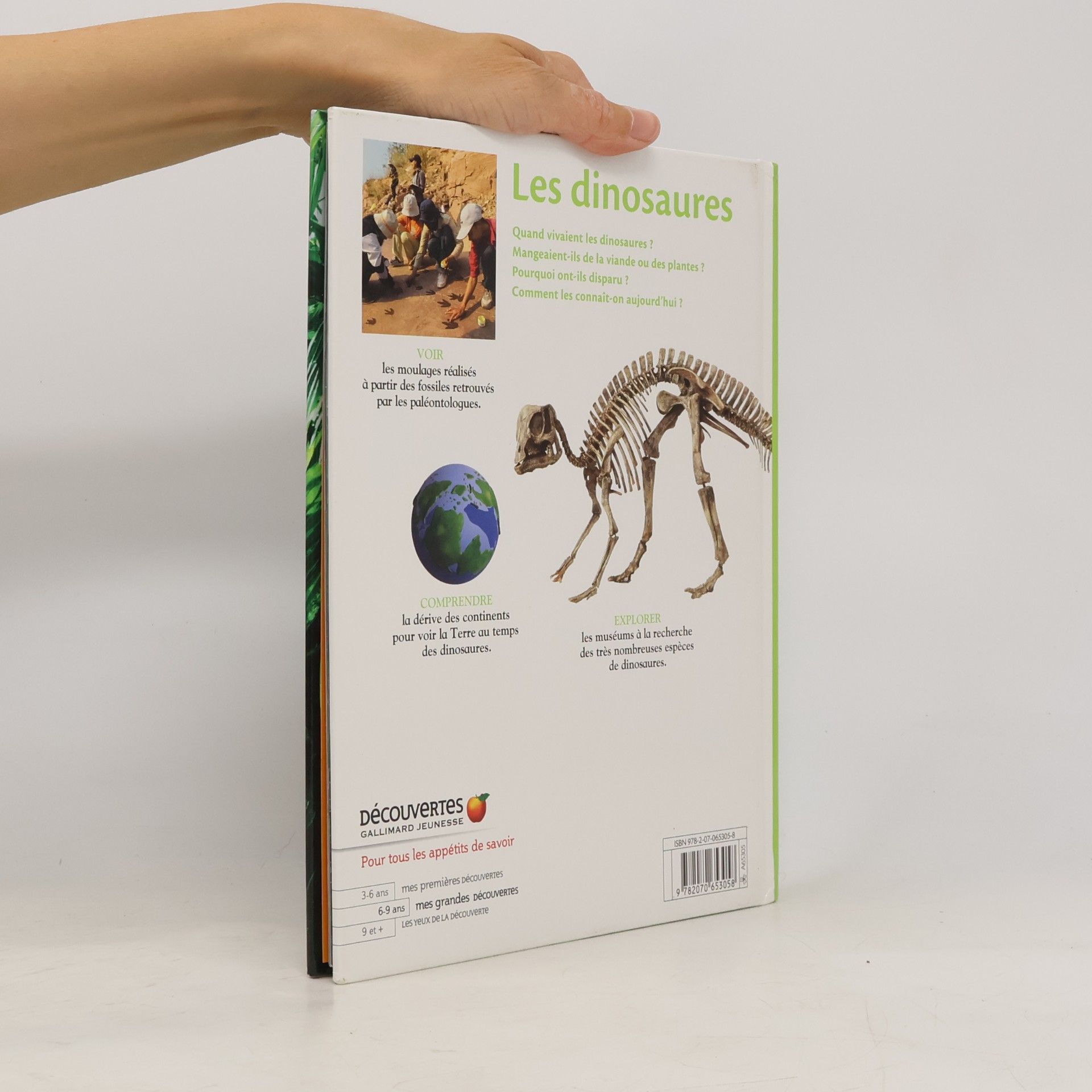 Kolektiv autorů Les dinosaures