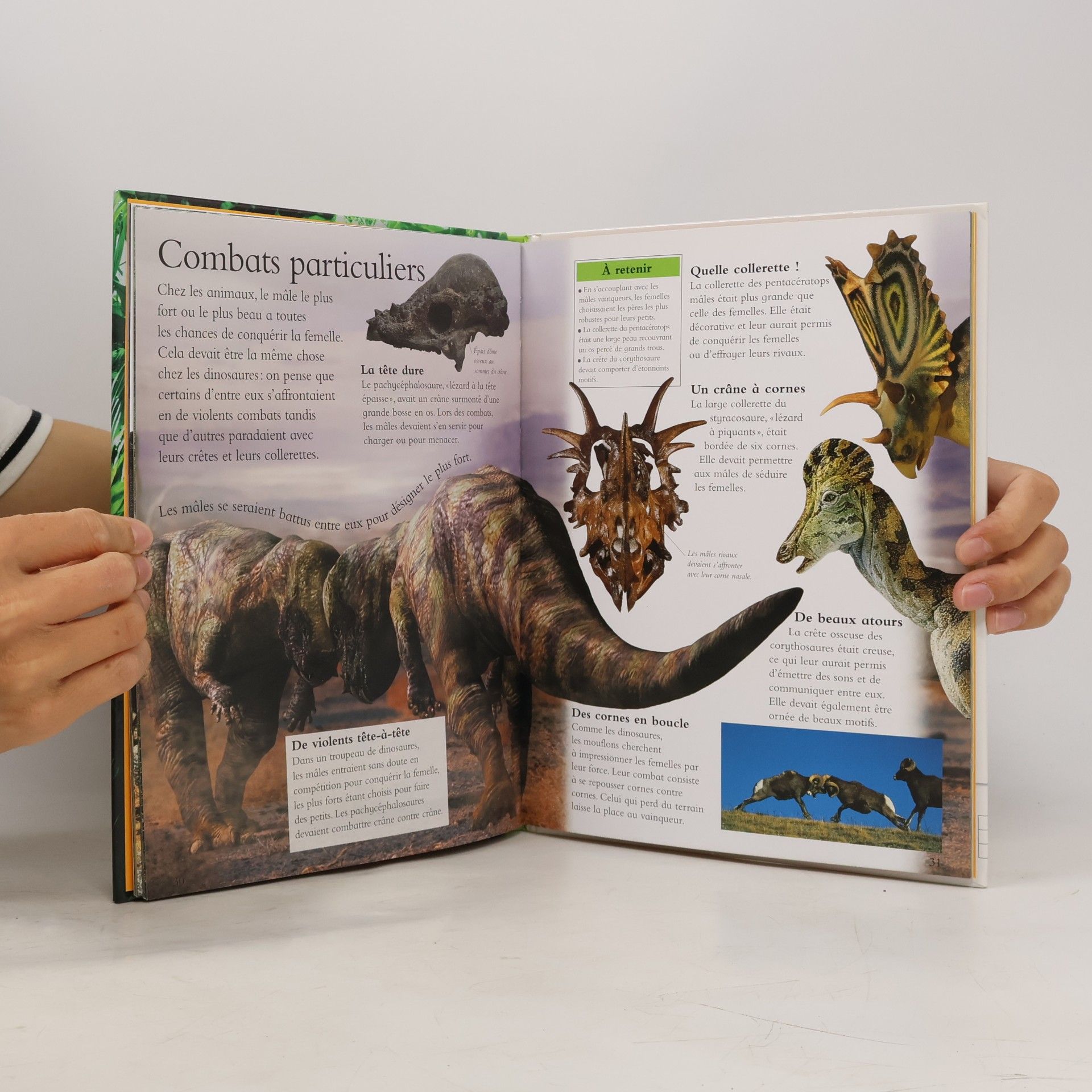 Kolektiv autorů Les dinosaures