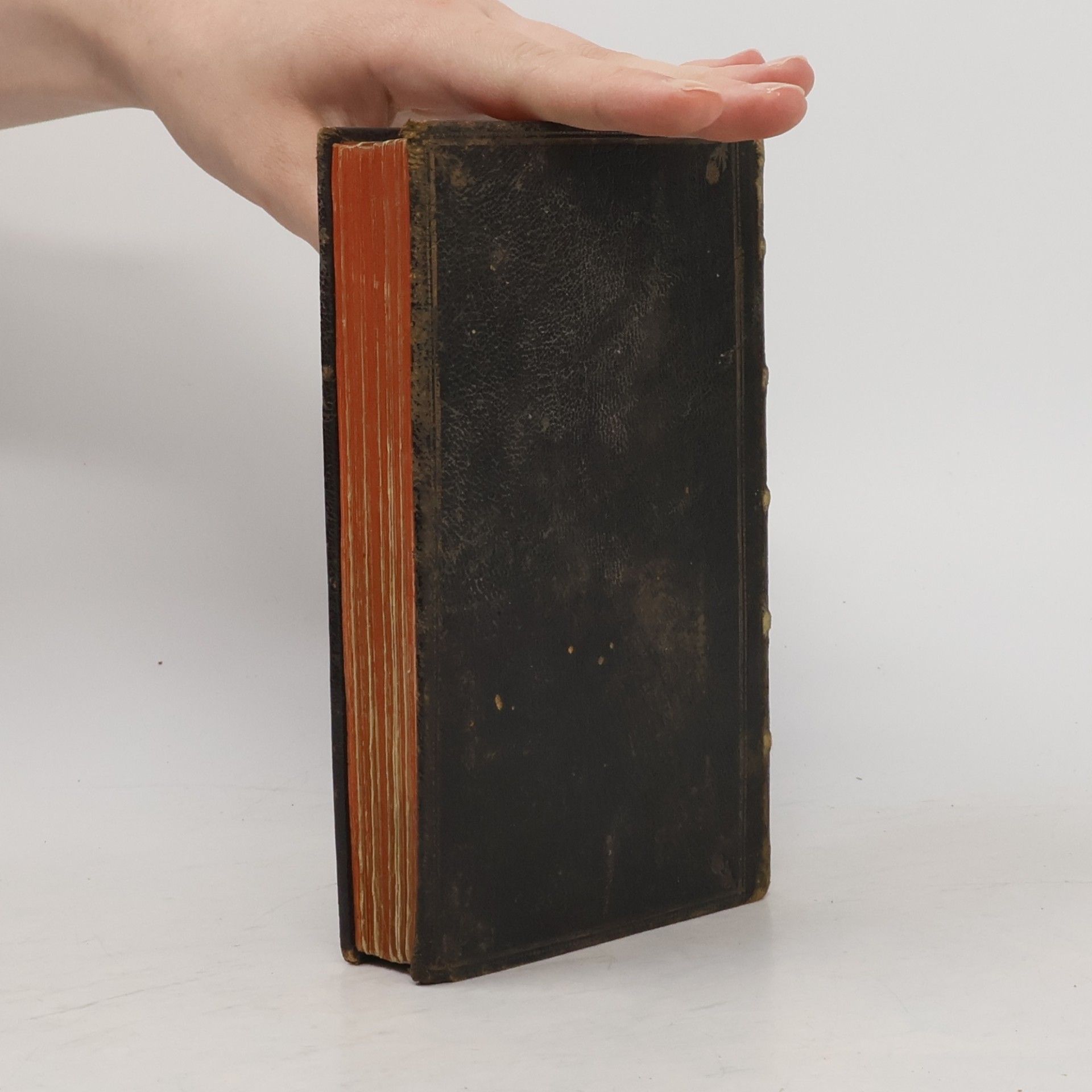Auteurscollectief Officia Propria Ordinis Servorum Beatae Mariae Virginis