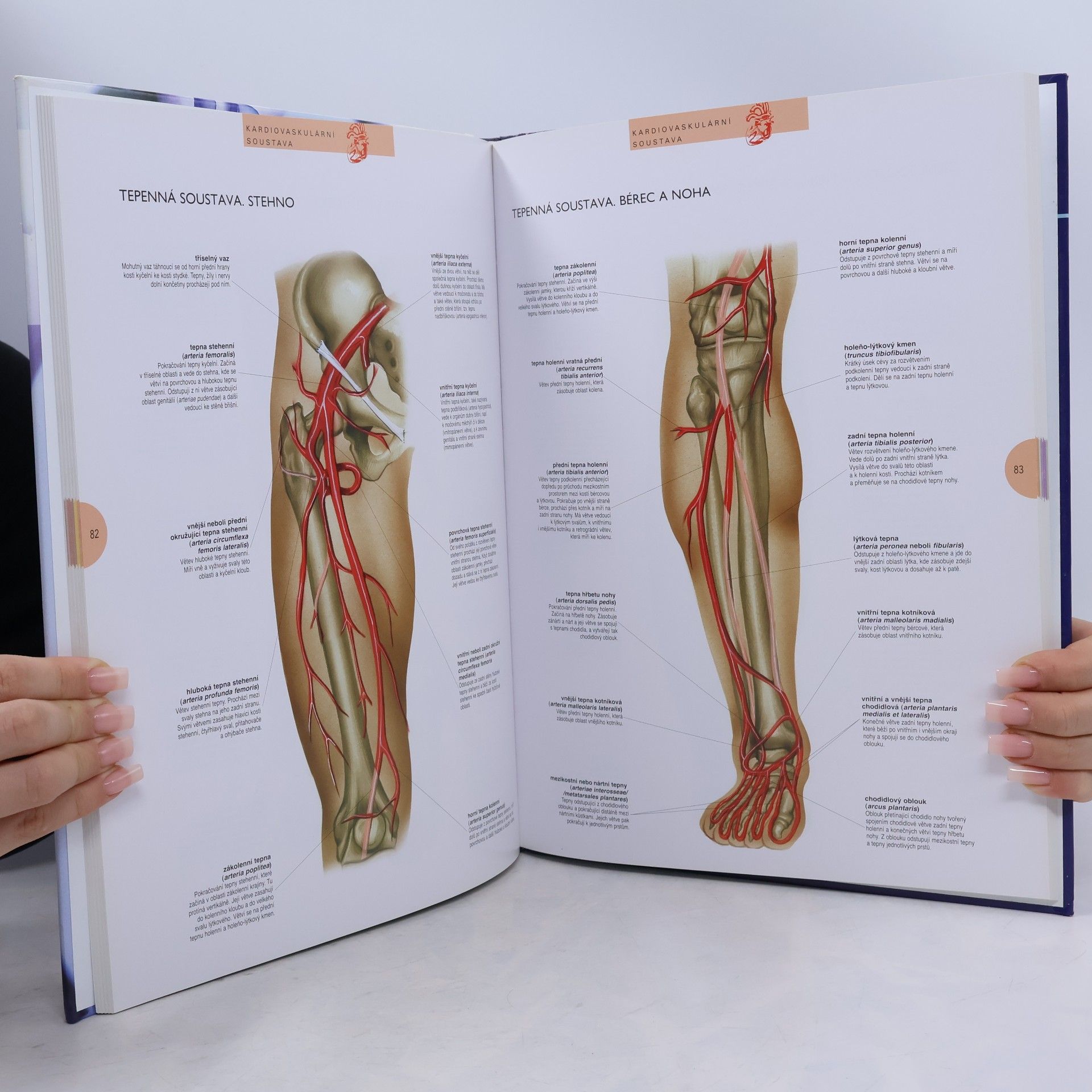 Collectif d'auteurs Atlas lidského těla