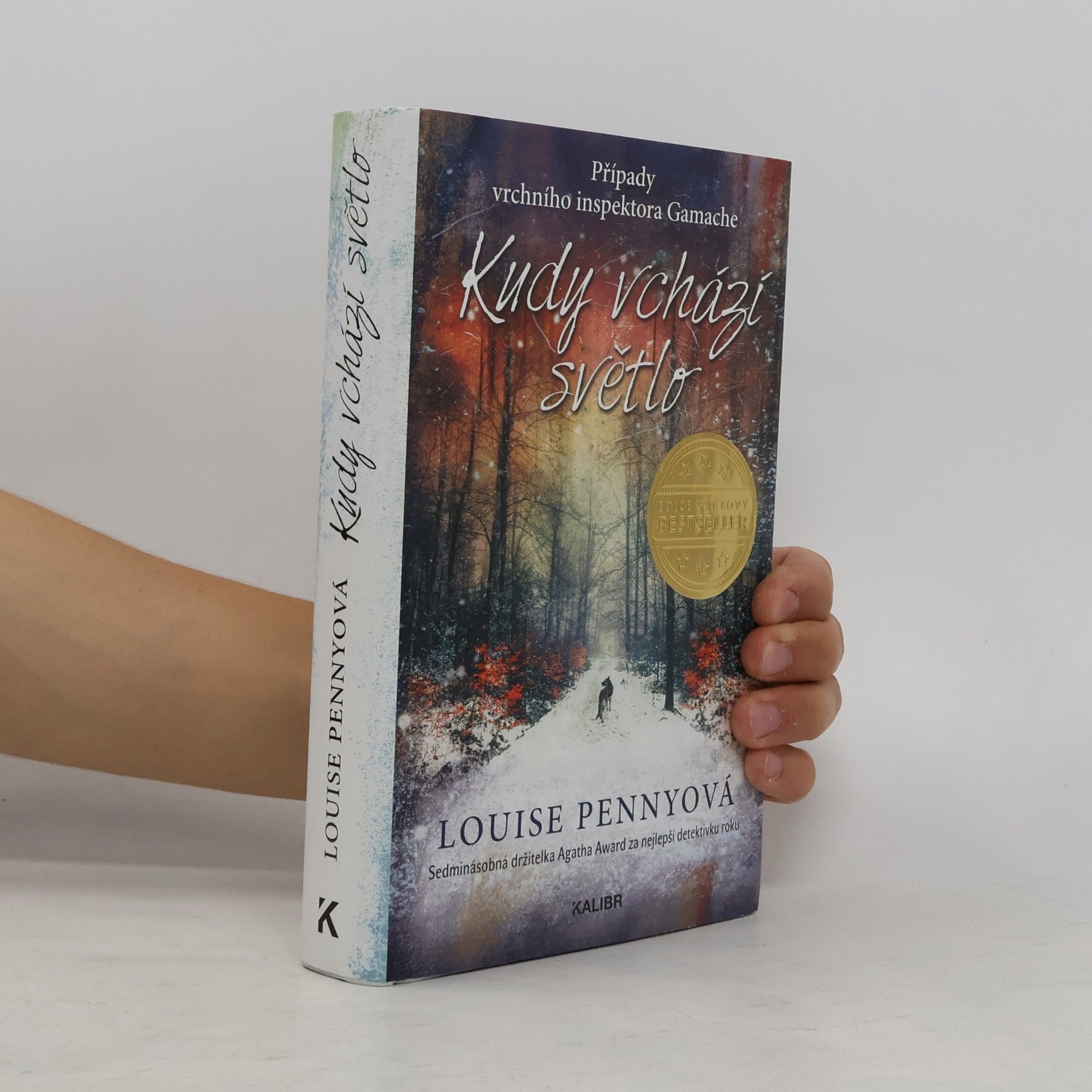Louise Penny Kudy vchází světlo