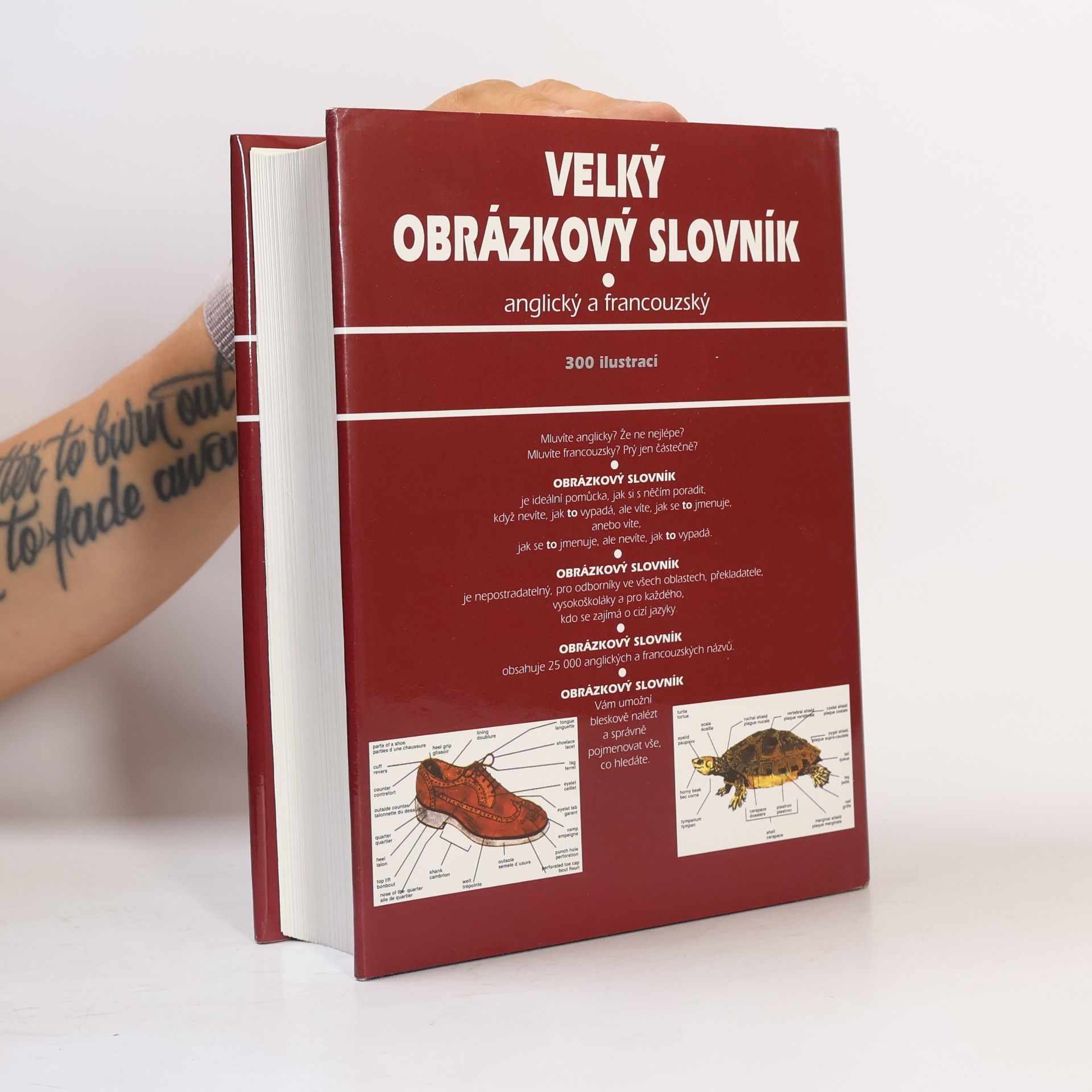 Ariane Archambault Velký obrázkový slovník. Anglický a francouzský