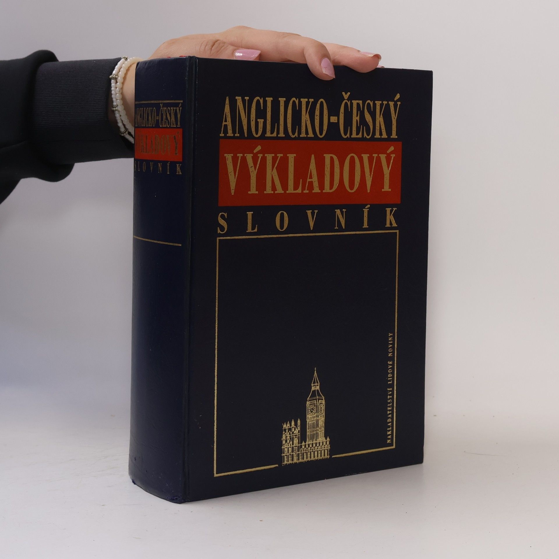 Kolektív autorov Anglicko-český výkladový slovník