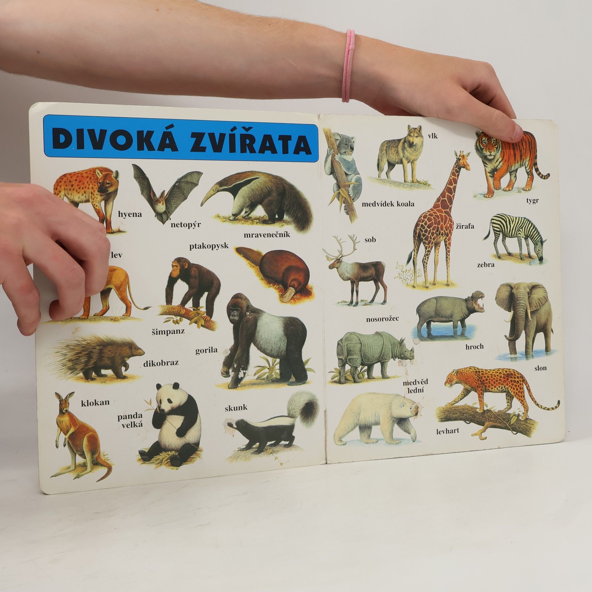 Collectif d'auteurs Moje druhá knížka
