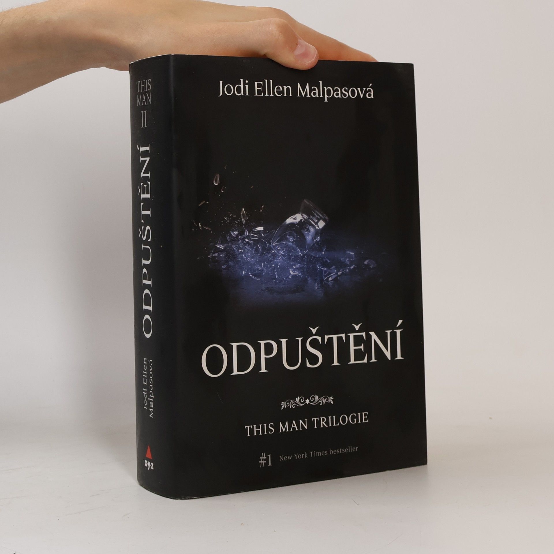Jodi Ellen Malpas This man trilogie : Odpuštění