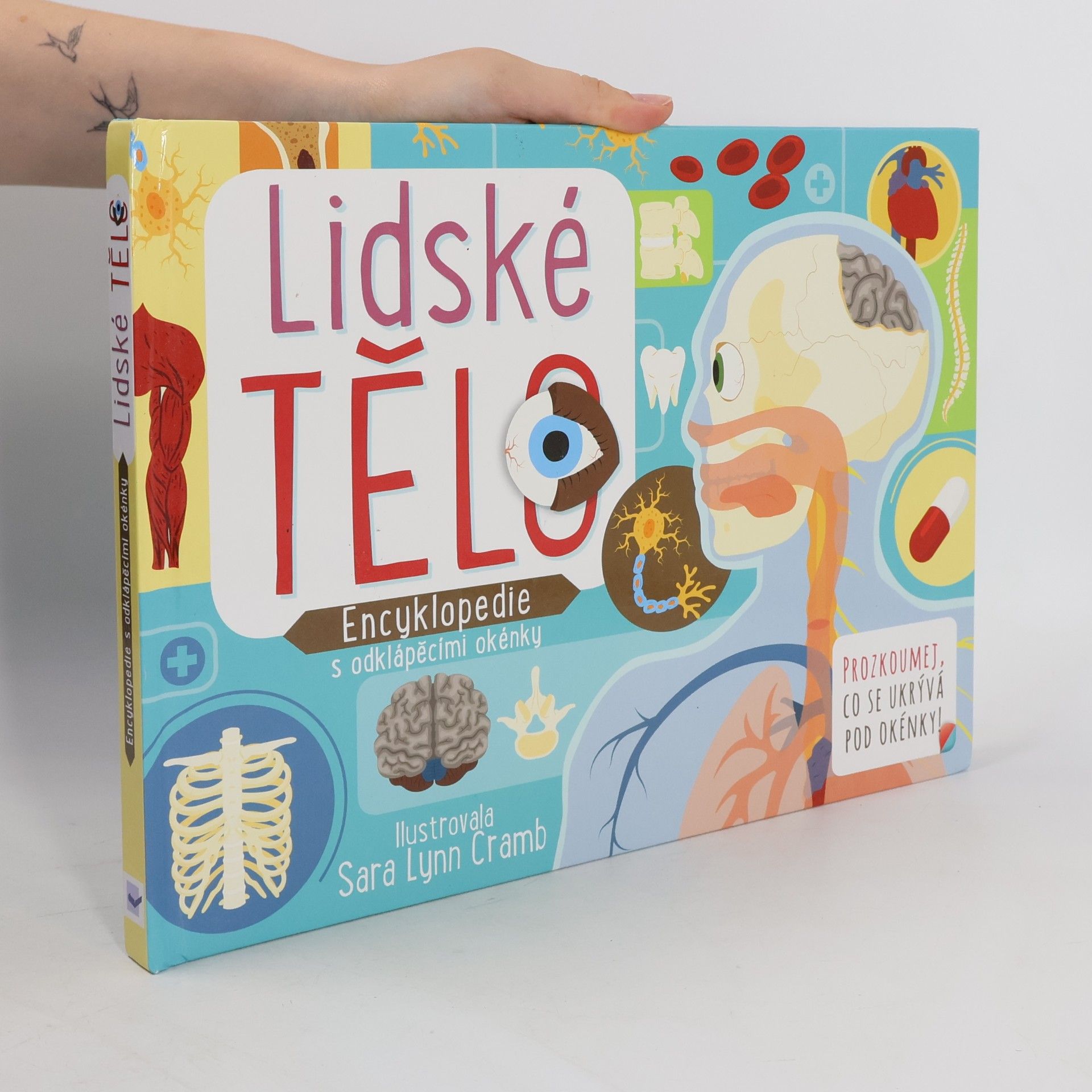 Sara Lynn Cramb Lidské tělo