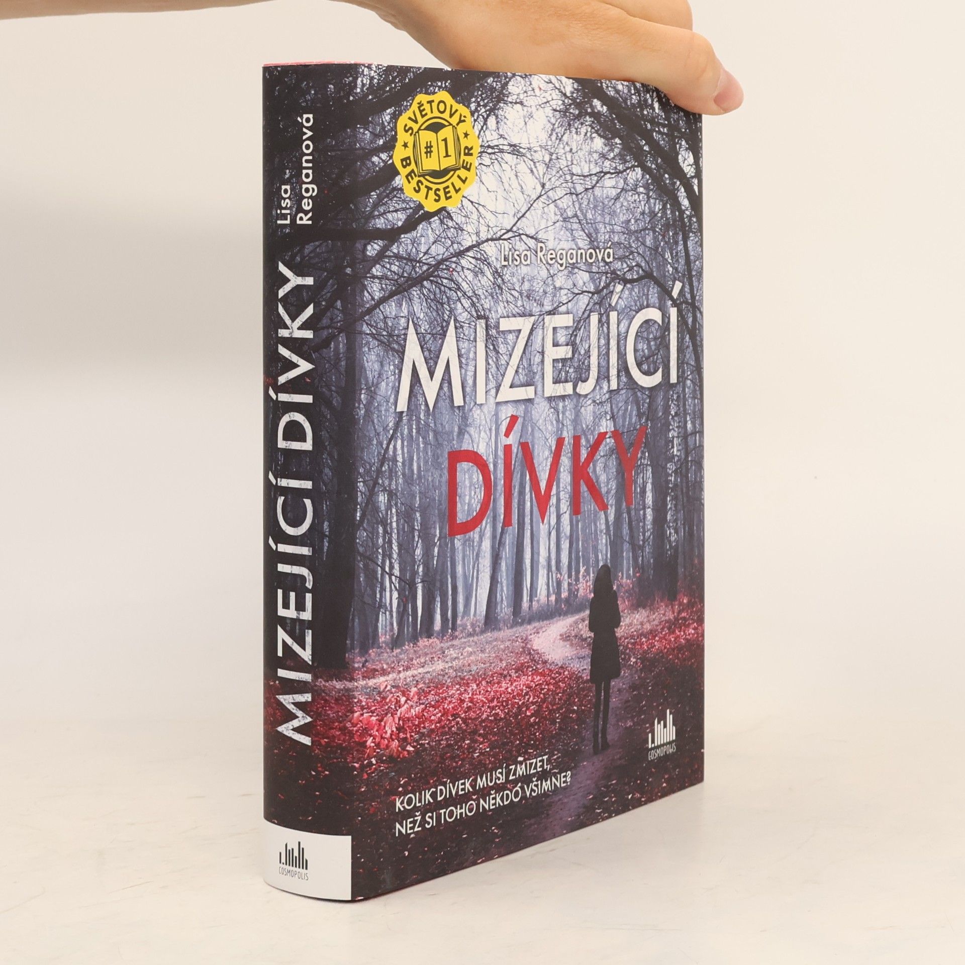 Lisa Regan Mizející dívky