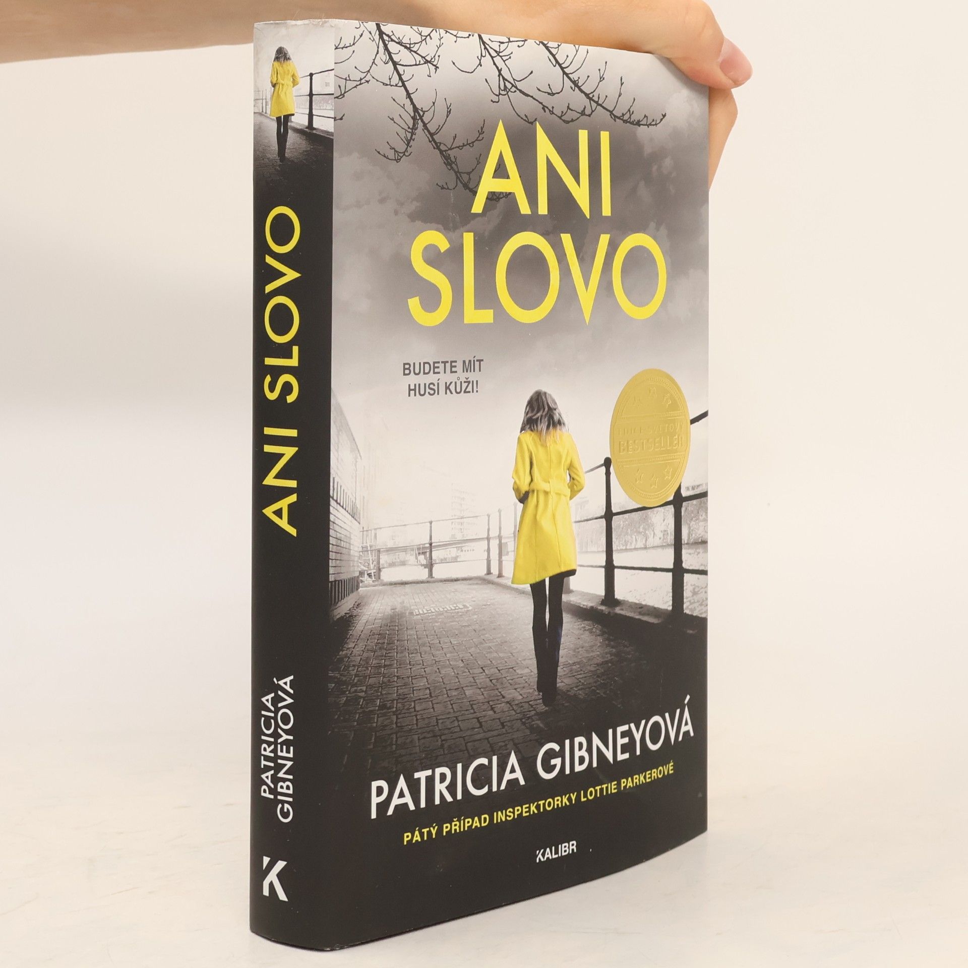 Patricia Gibney Ani slovo