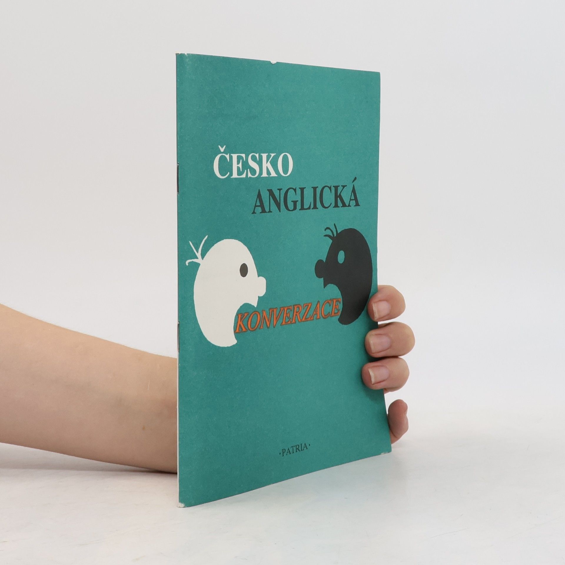 Collectif d'auteurs Česko-anglická konverzace