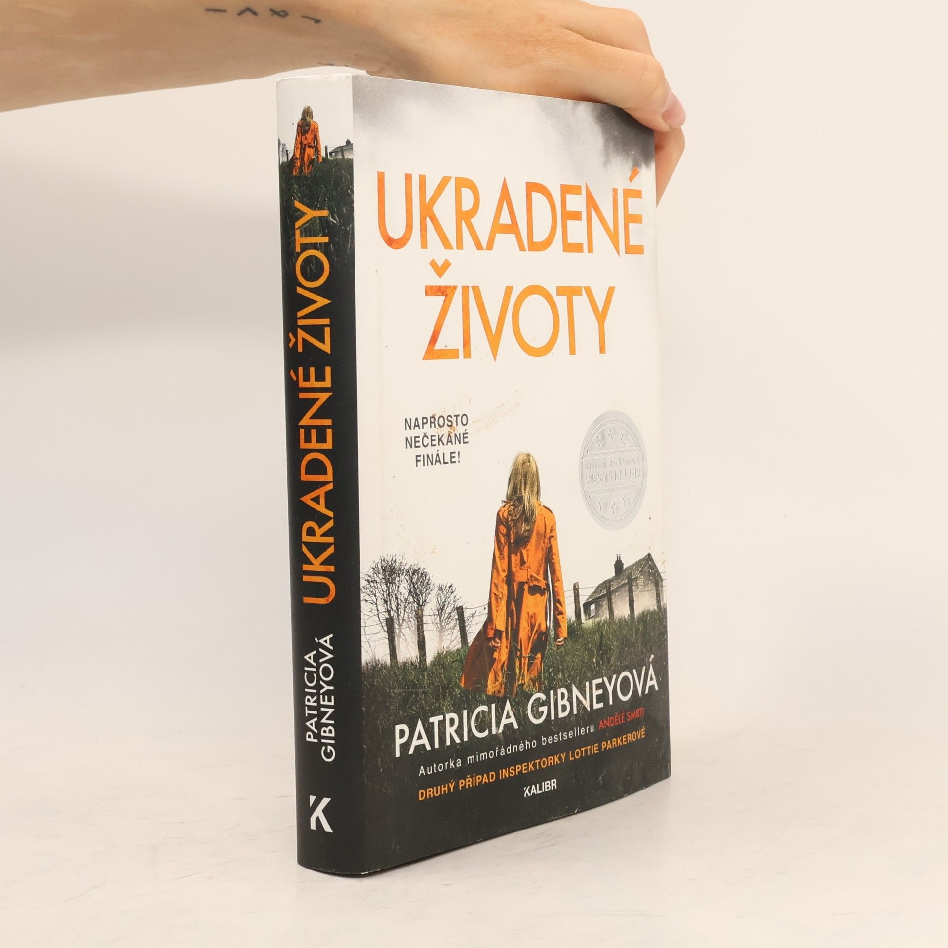 Patricia Gibney Ukradené životy
