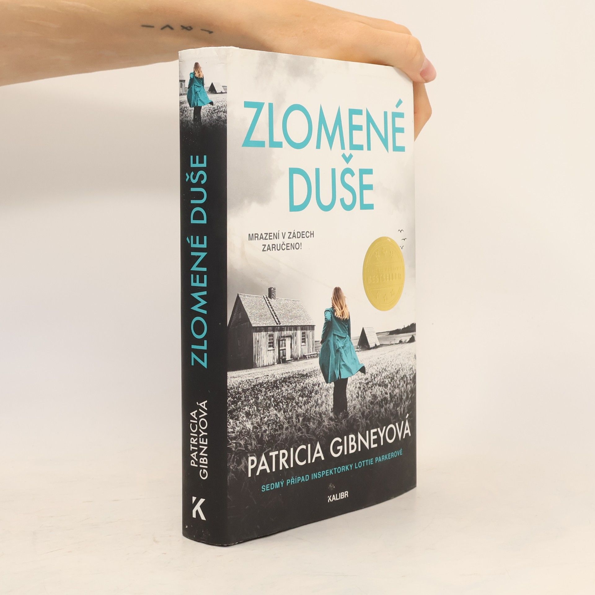 Patricia Gibney Zlomené Duše