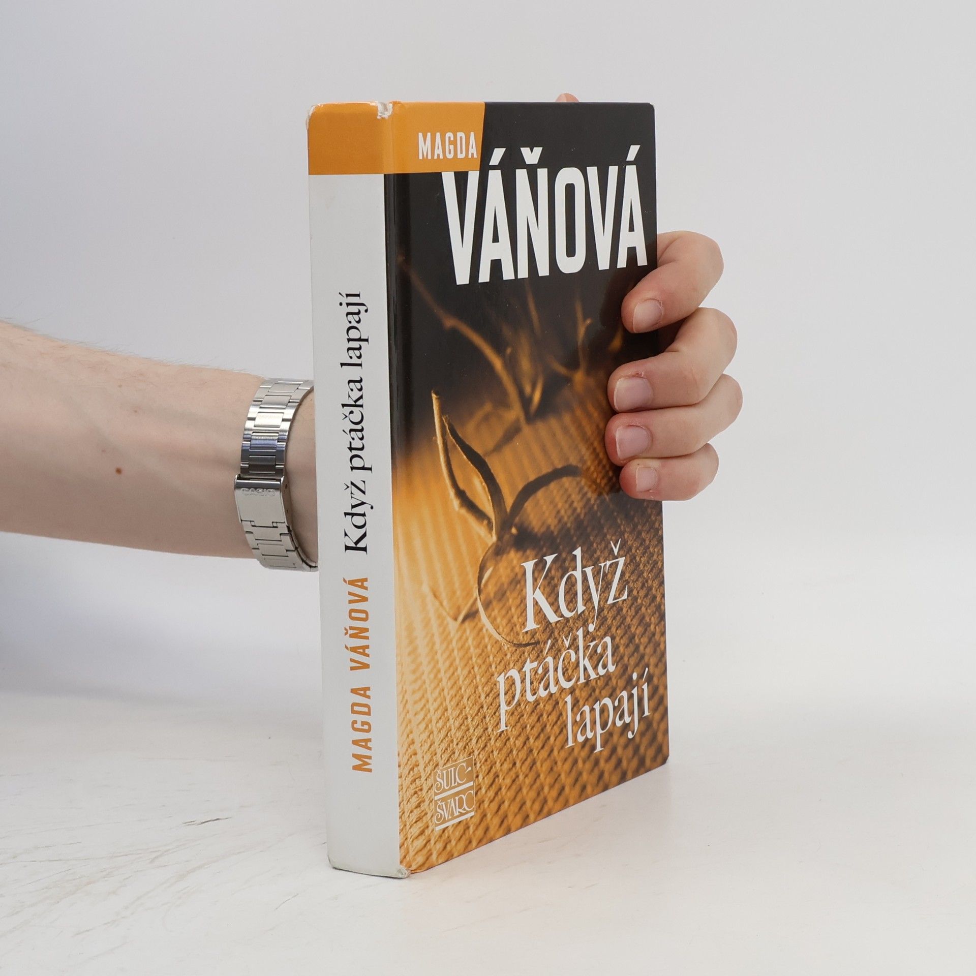 Magda Váňová Když ptáčka lapají