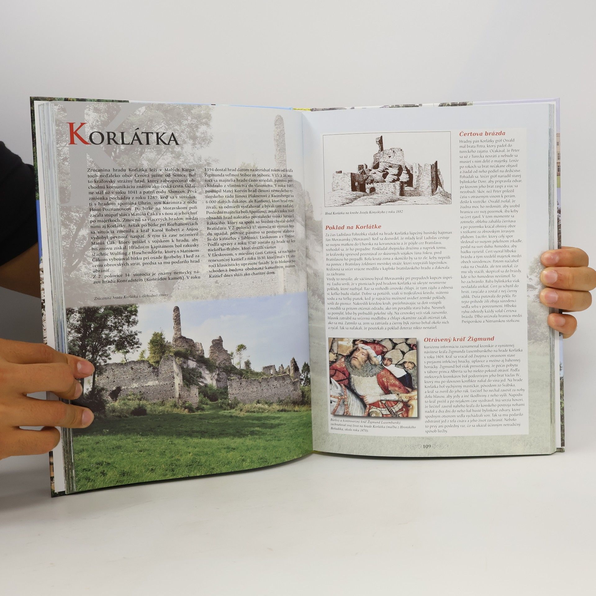 Pavol Škubla Hrady, zámky a kaštiele Slovenska: História, povesti, legendy, zaujímavosti