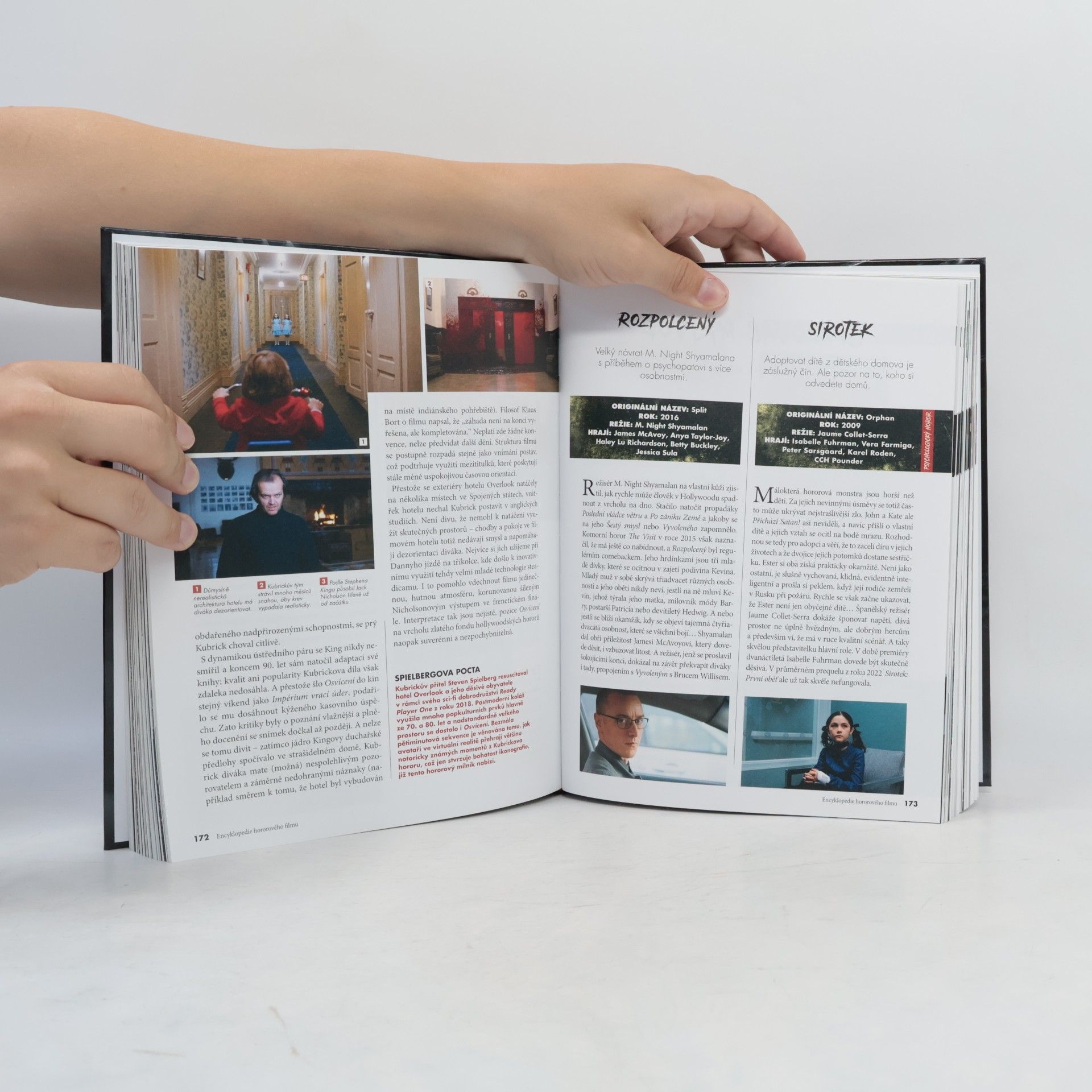 Autores varios Encyklopedie hororového filmu