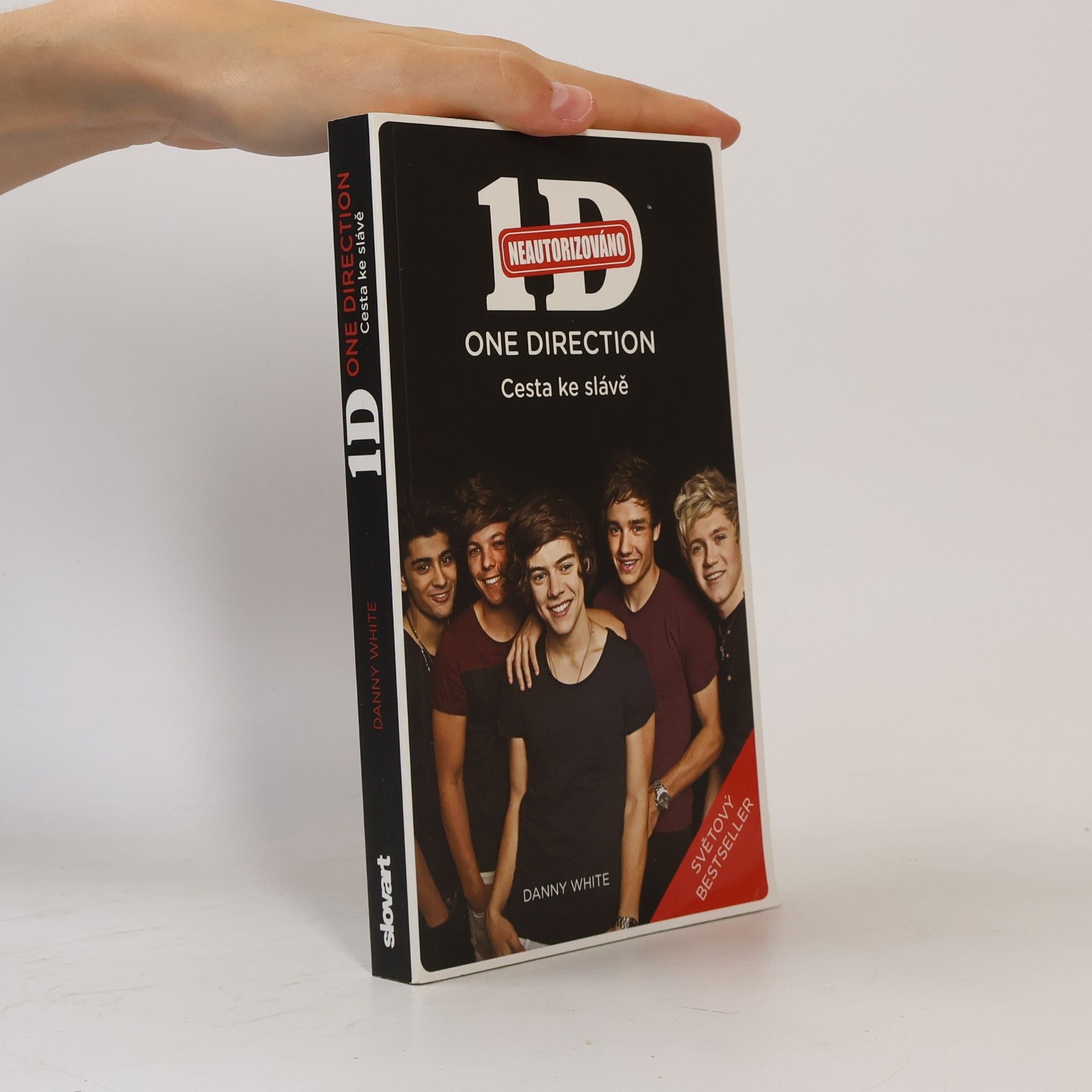 1D - One Direction: Cesta ke slávě