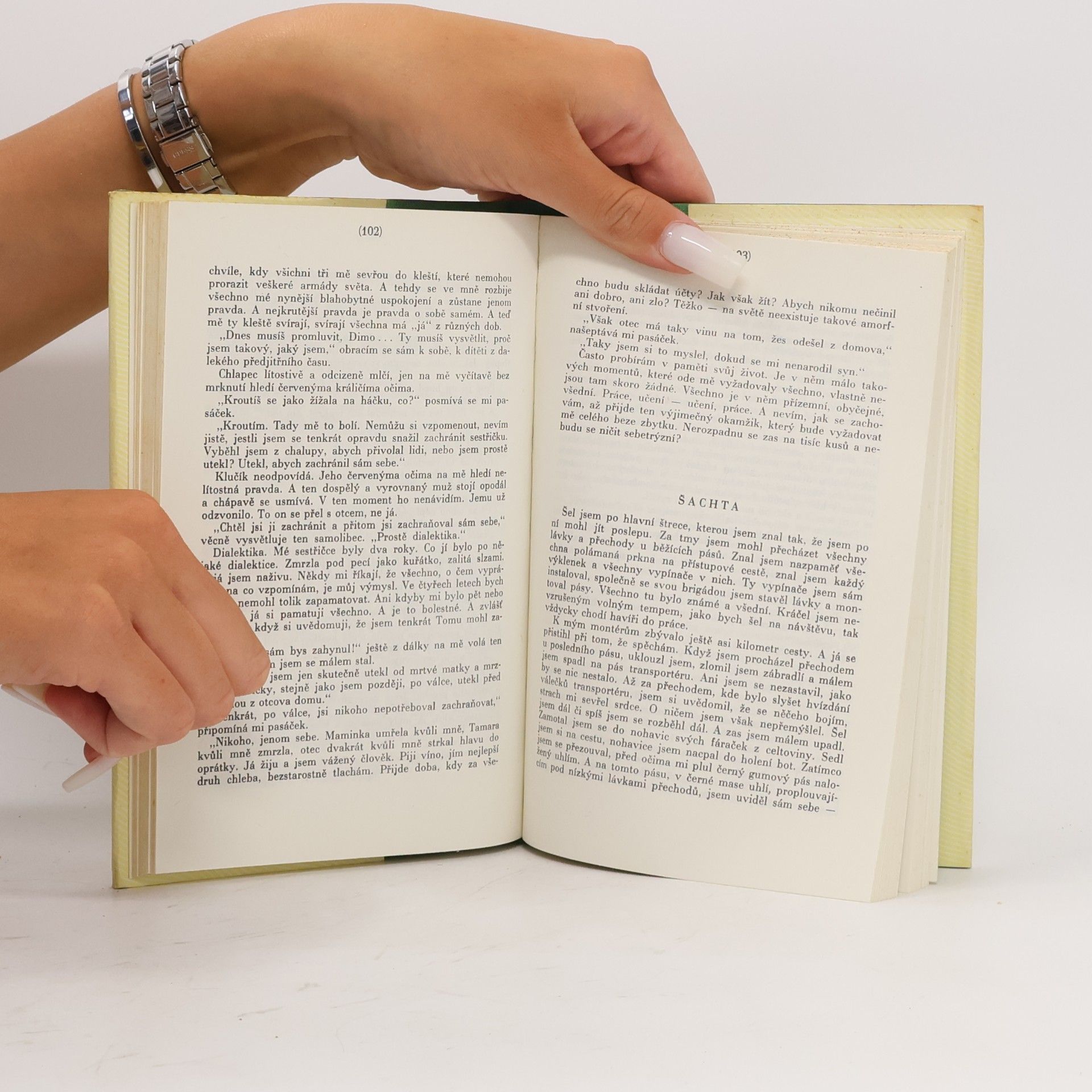 Viktar Kazko Kvete hrušeň na polesí