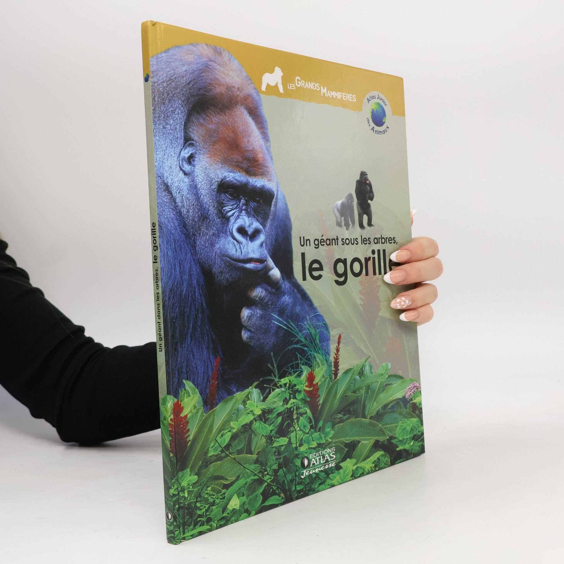 Les Grands Mammifères - Atlas junior des animaux: Un géant sous les arbres, le gorille
