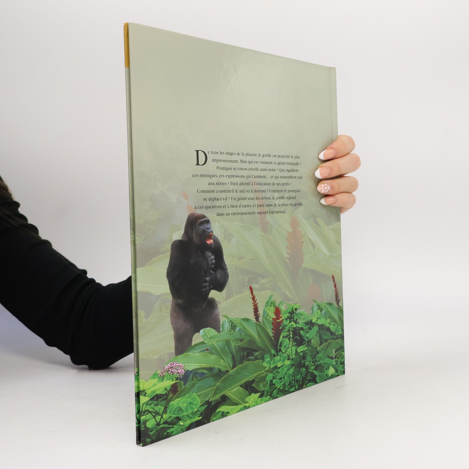 Collectif Les Grands Mammifères - Atlas junior des animaux: Un géant sous les arbres, le gorille