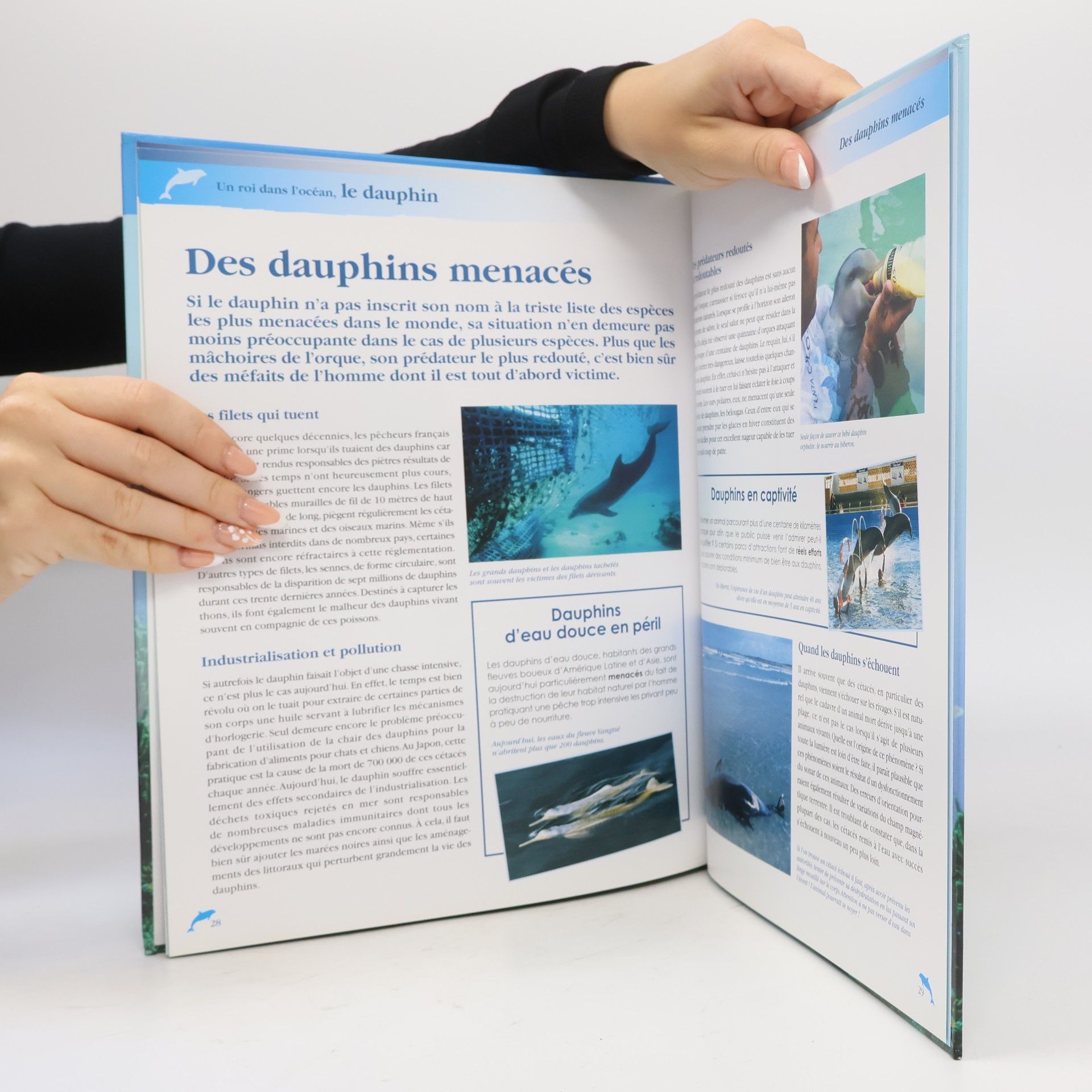 Anne Royer Atlas junior des animaux: Un roi dans l'océan, le dauphin