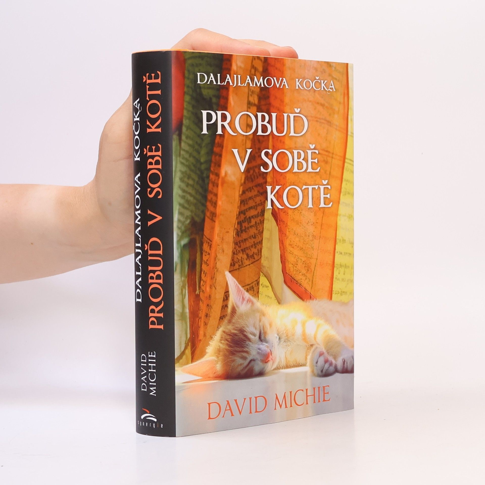 David Michie Dalajlamova kočka - probuď v sobě kotě