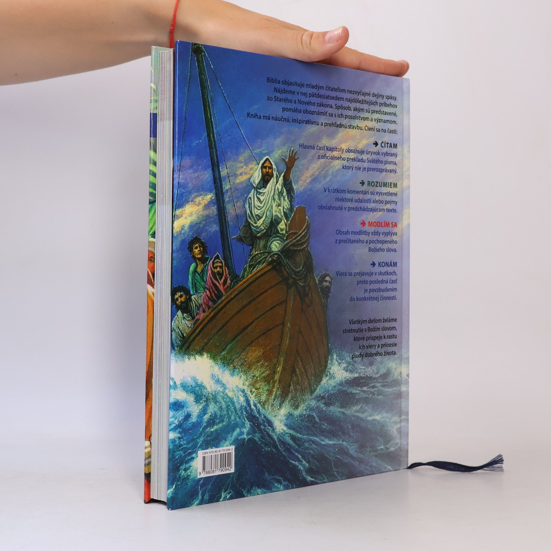 Autorenkollektiv Biblia. Sprievodca životom pre deti