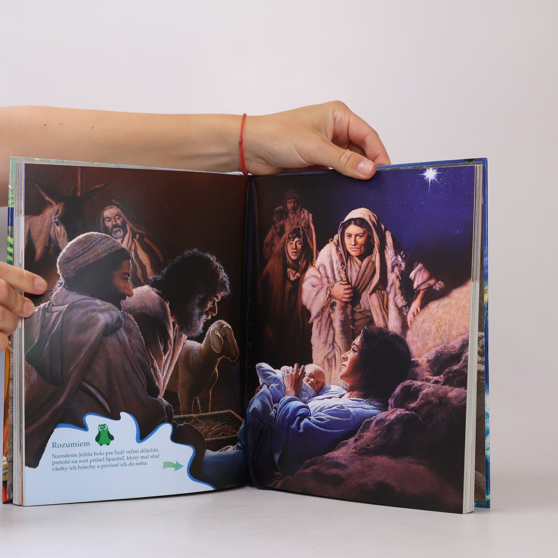 Autorenkollektiv Biblia. Sprievodca životom pre deti