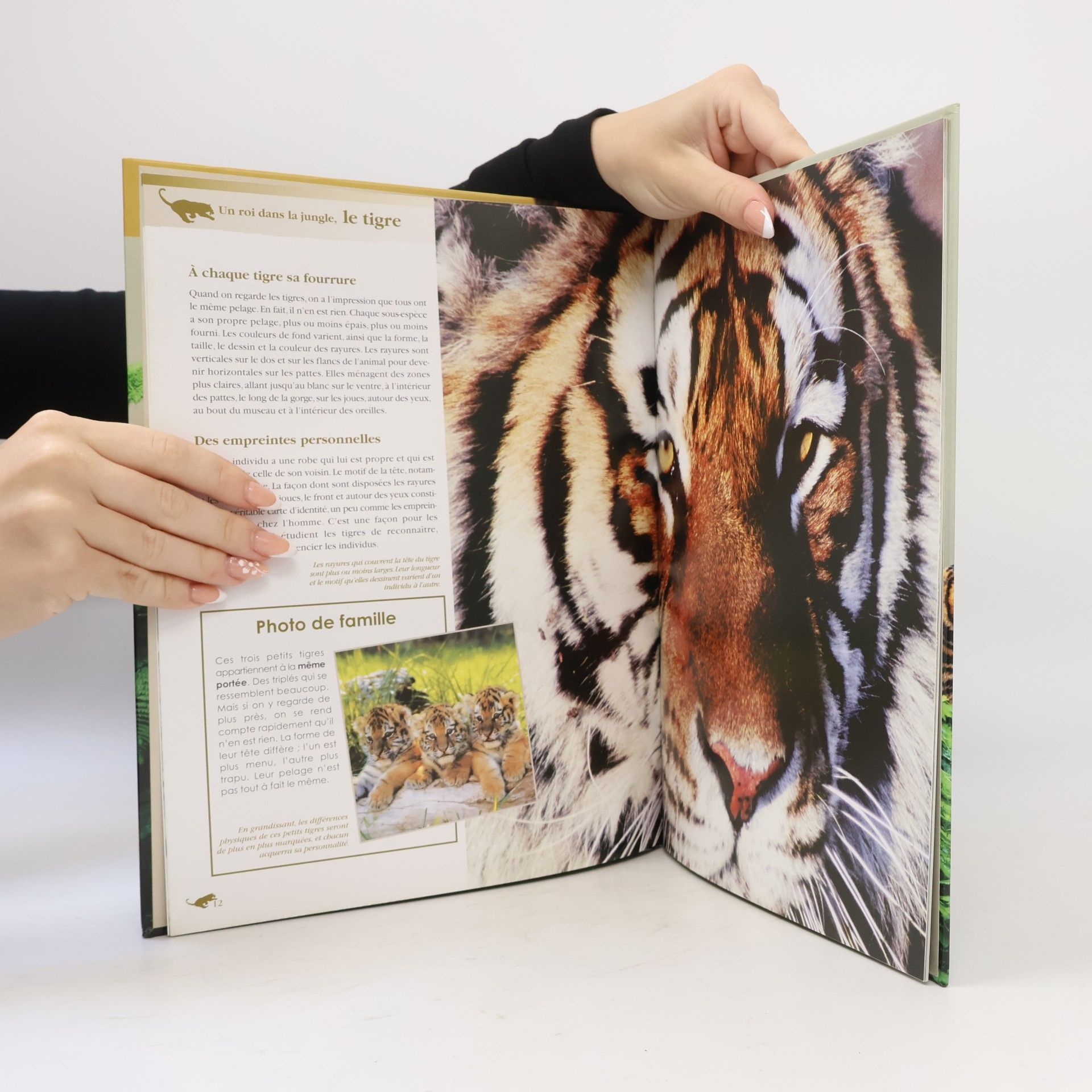 Hélène Montardre Un roi dans la jungle, le tigre (Atlas junior des animaux)