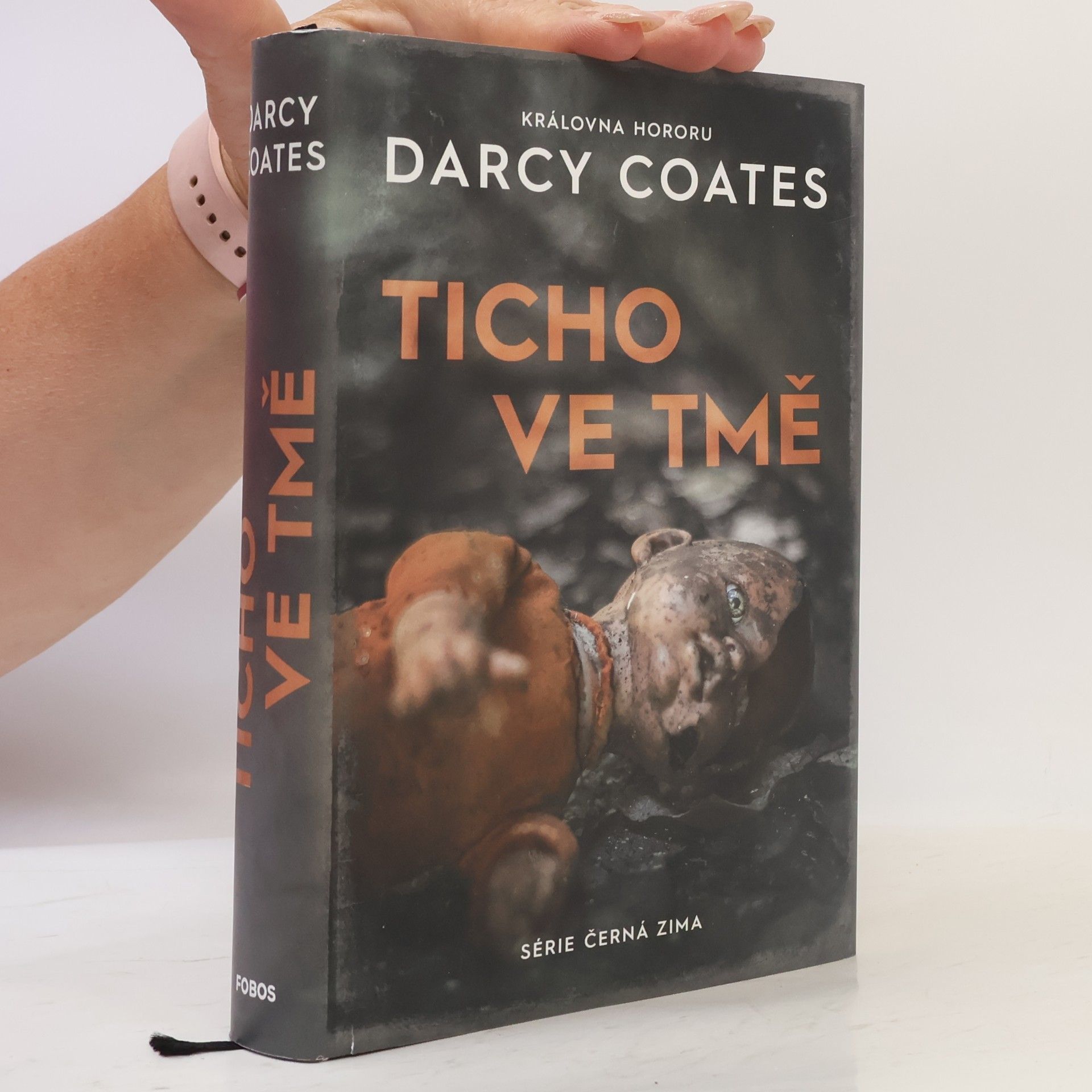 Darcy Coates Ticho ve tmě